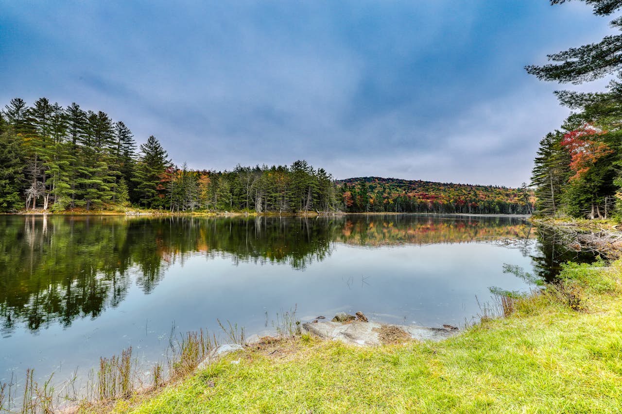 Justin Lake Lodge 8 BD Vacation Rental in Londonderry, VT Vacasa