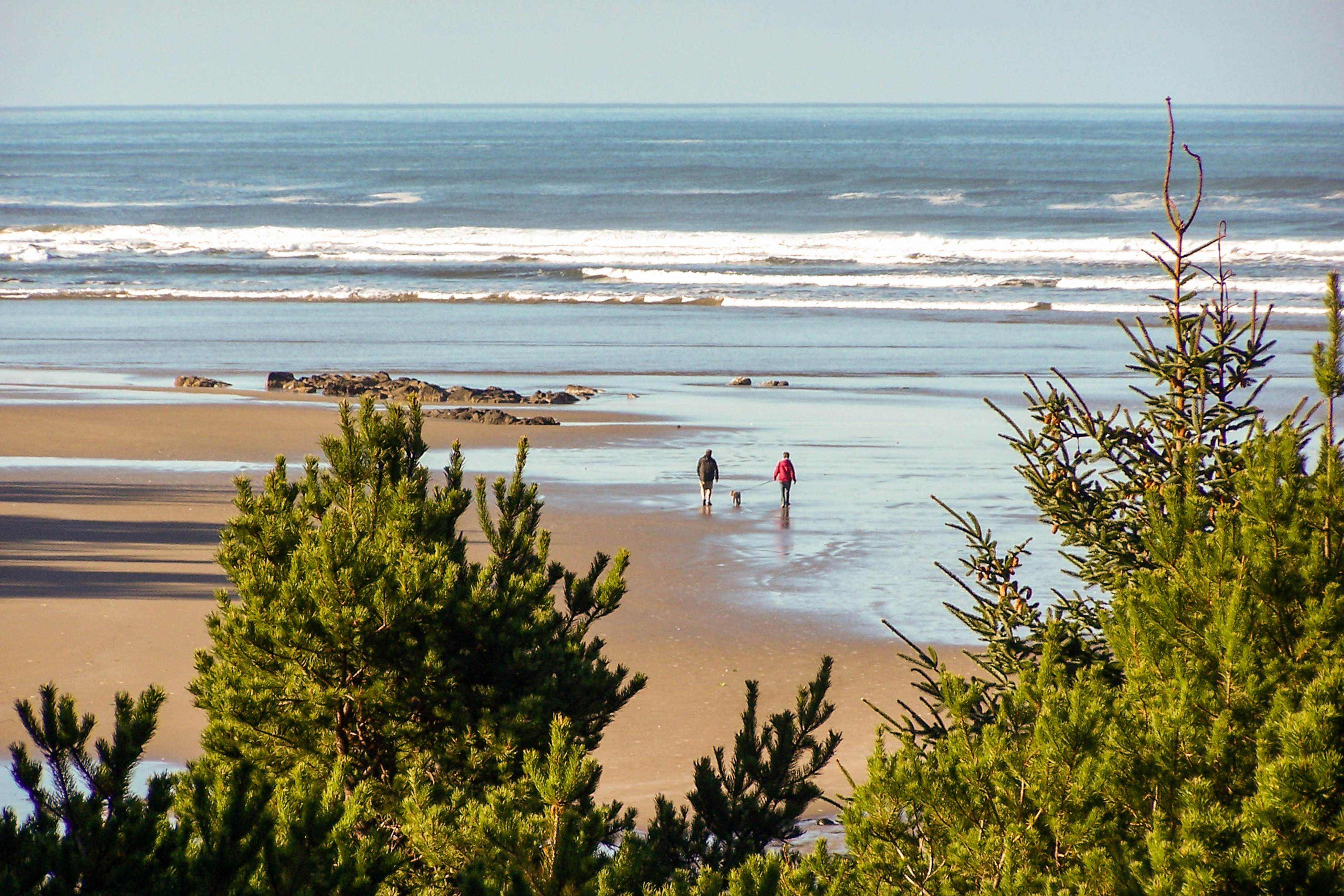 Hidden Luxury Beachfront Estate