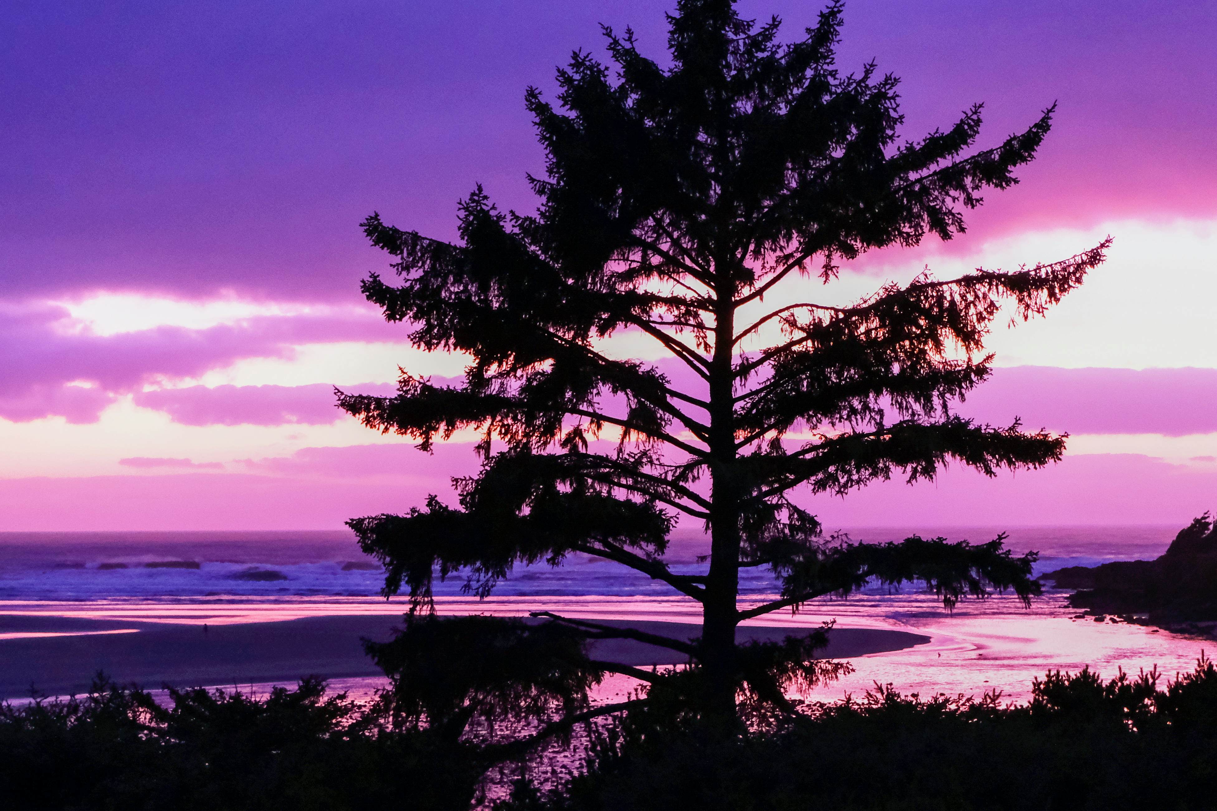Hidden Luxury Beachfront Estate