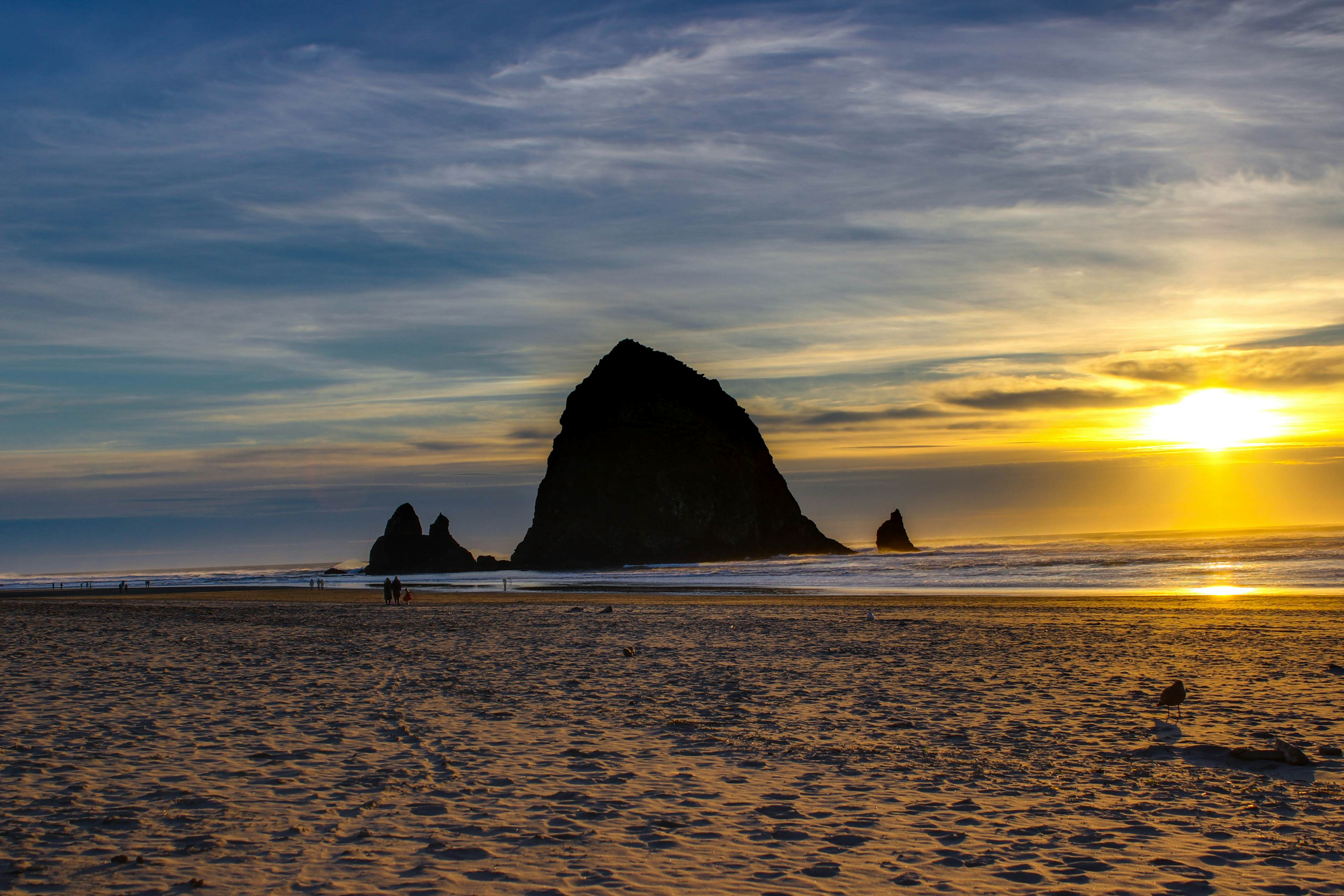 Hidden Villa Cottage #6 - The Starfish Cottage