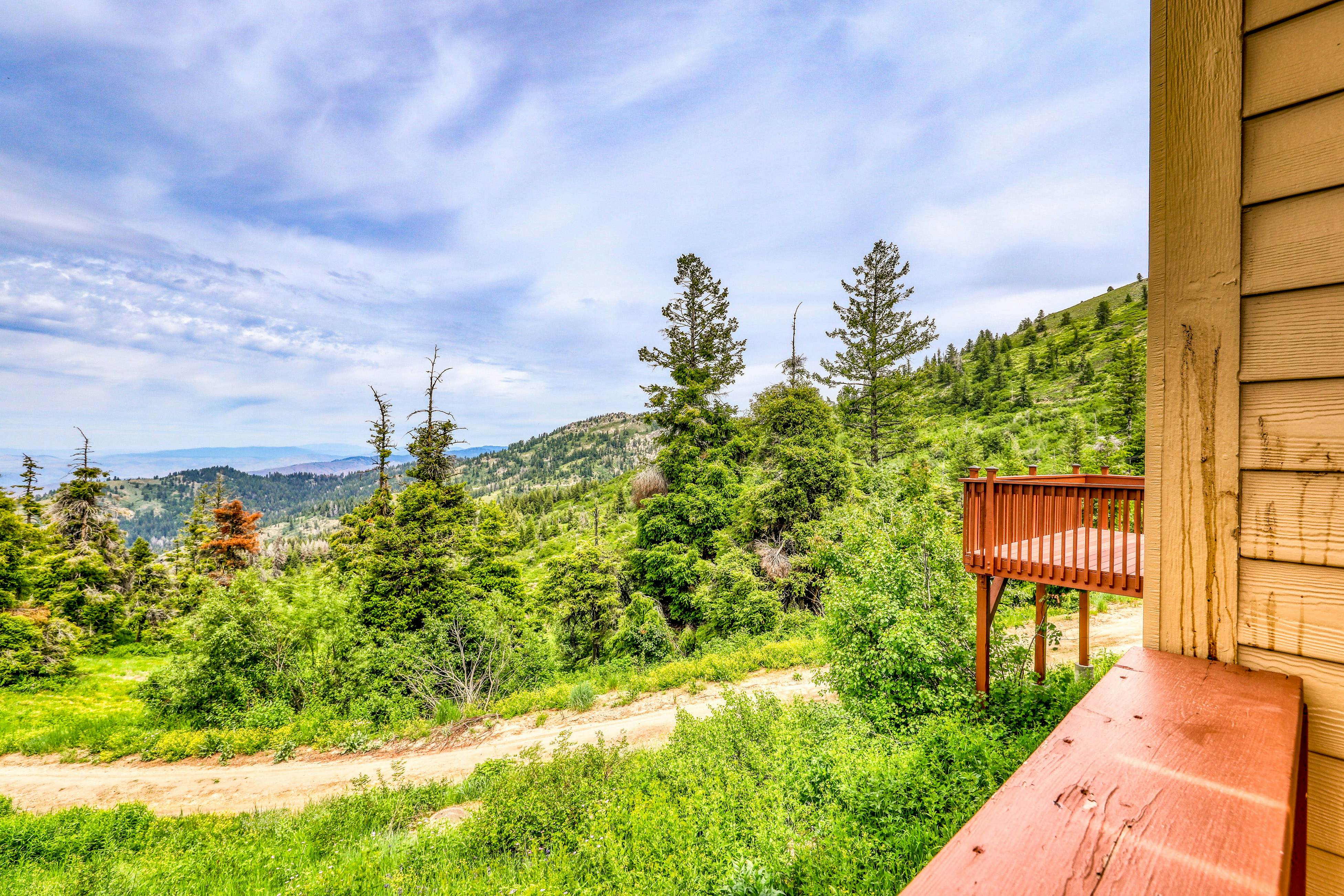 Bogus Basin Comfort -226 D