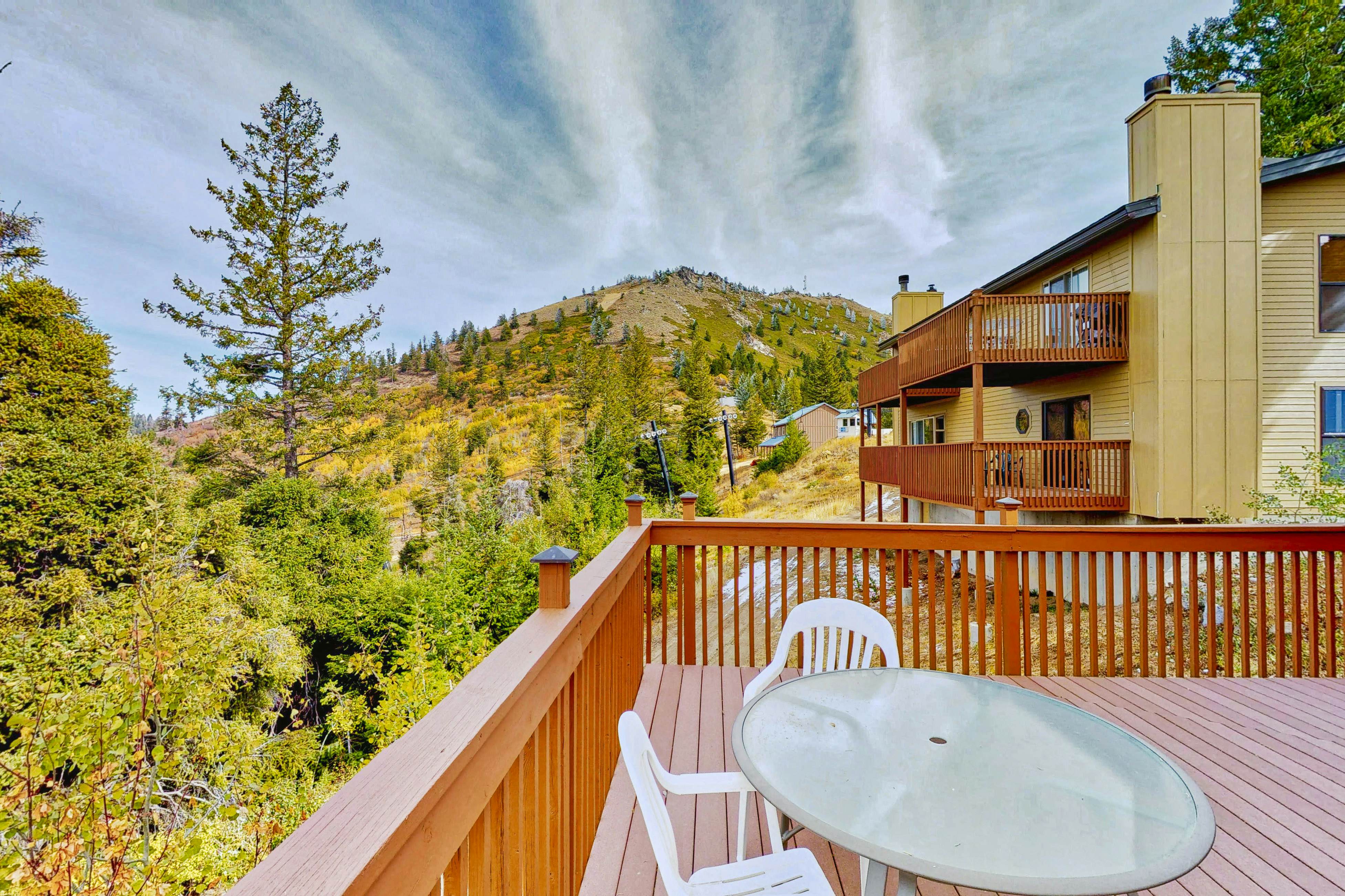 Bogus Basin Comfort -226 D