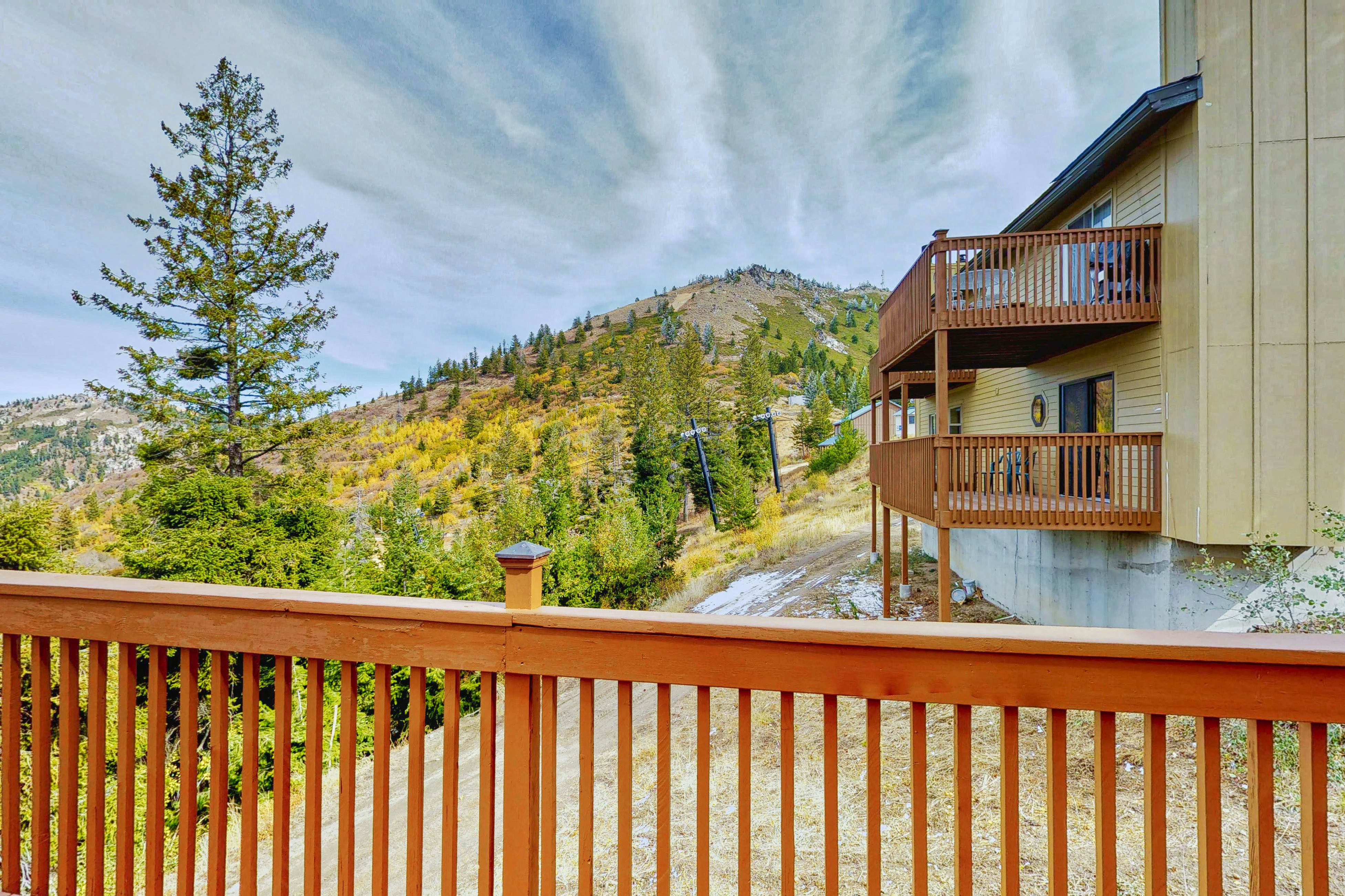 Bogus Basin Comfort -226 D