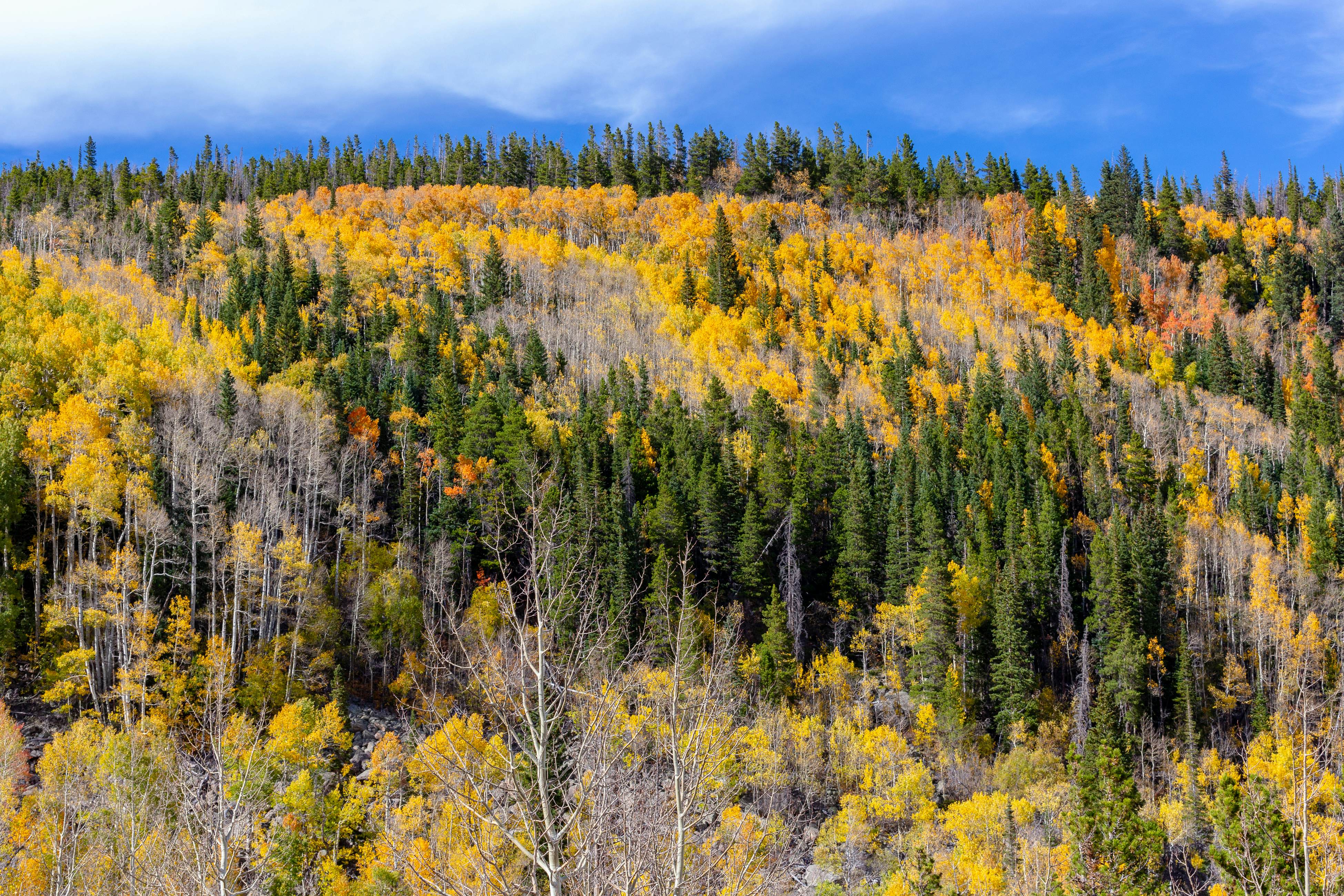 City Center Sanctuary