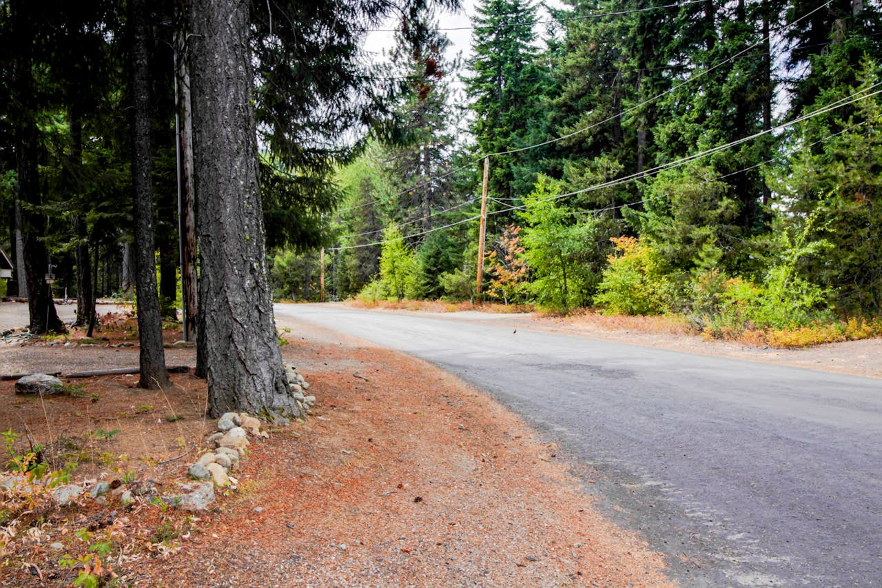 Cabin in the Woods 1 BD Vacation Rental in Easton, WA Vacasa