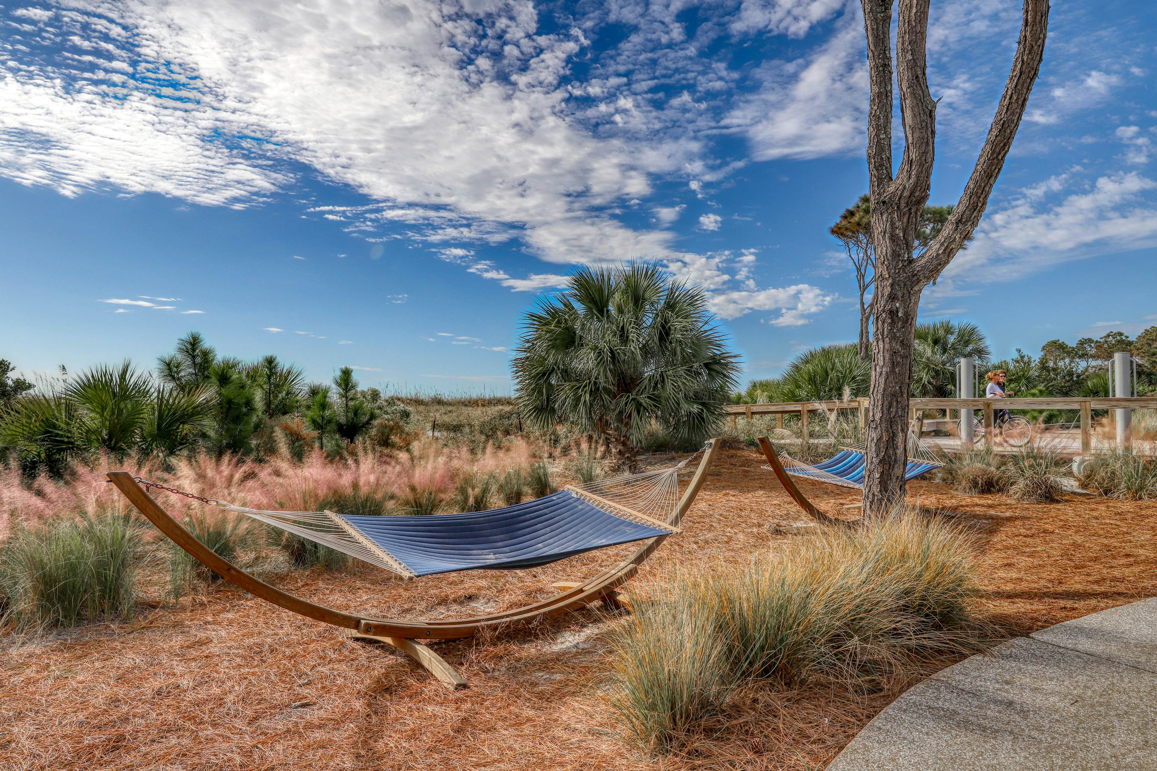 Carolina Beach Club 427 /  Pineapple