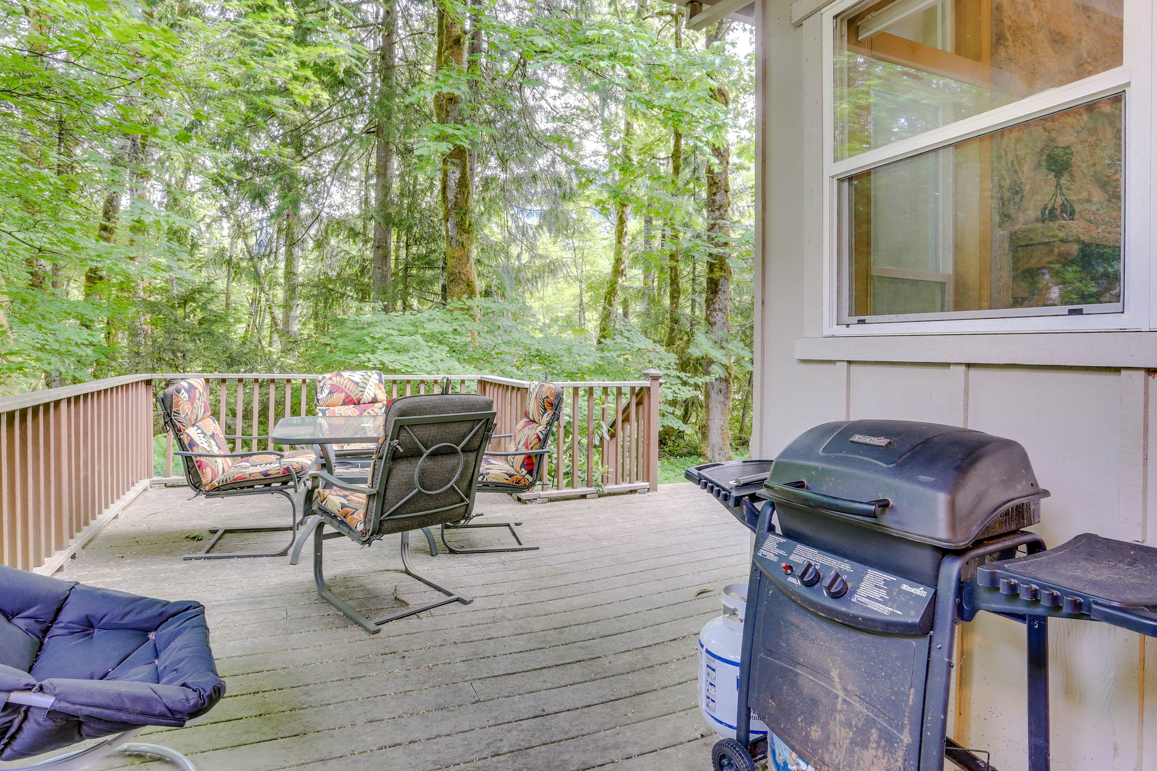 Clarks' Mountain Condo