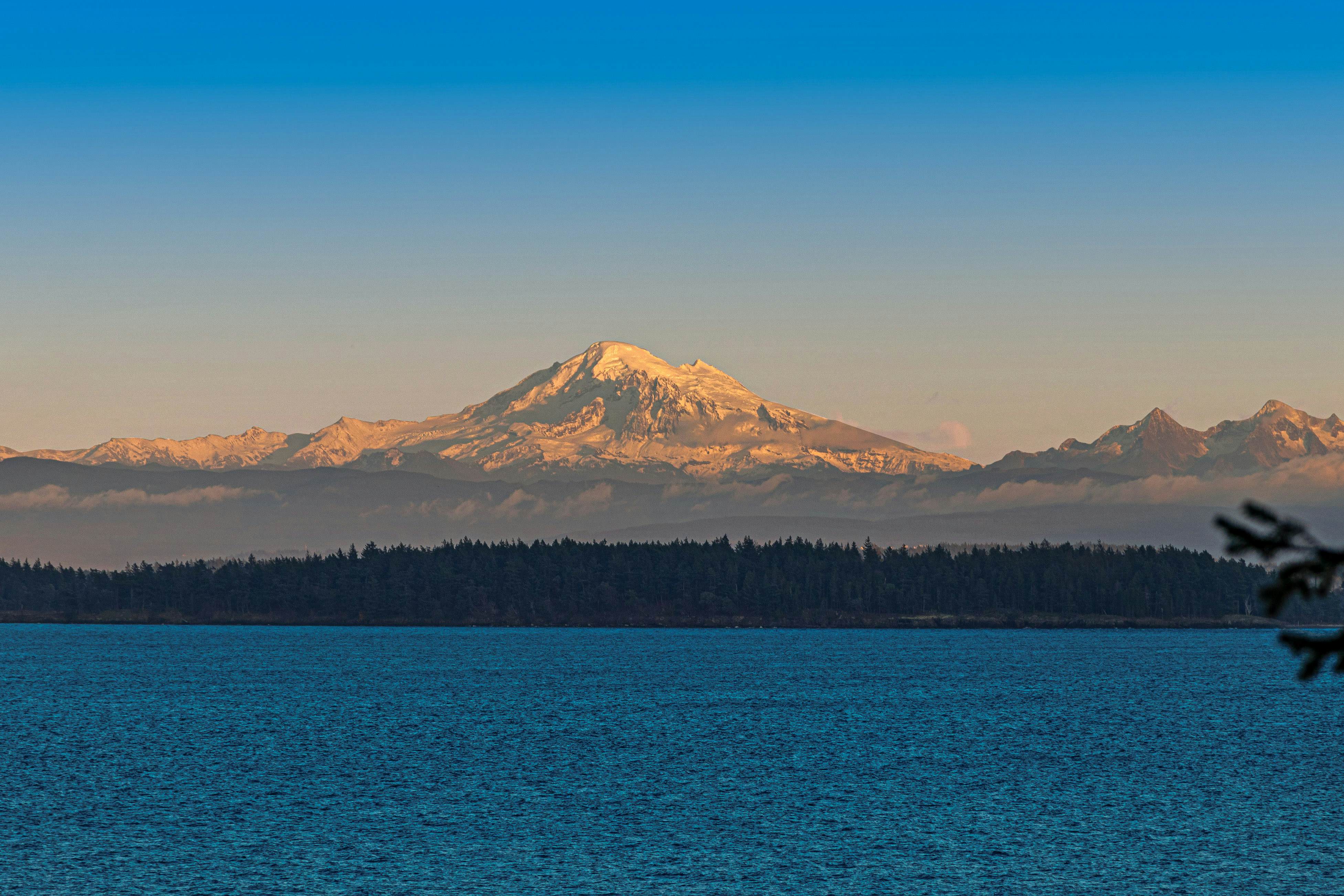 Whale View Waterfront Cottage