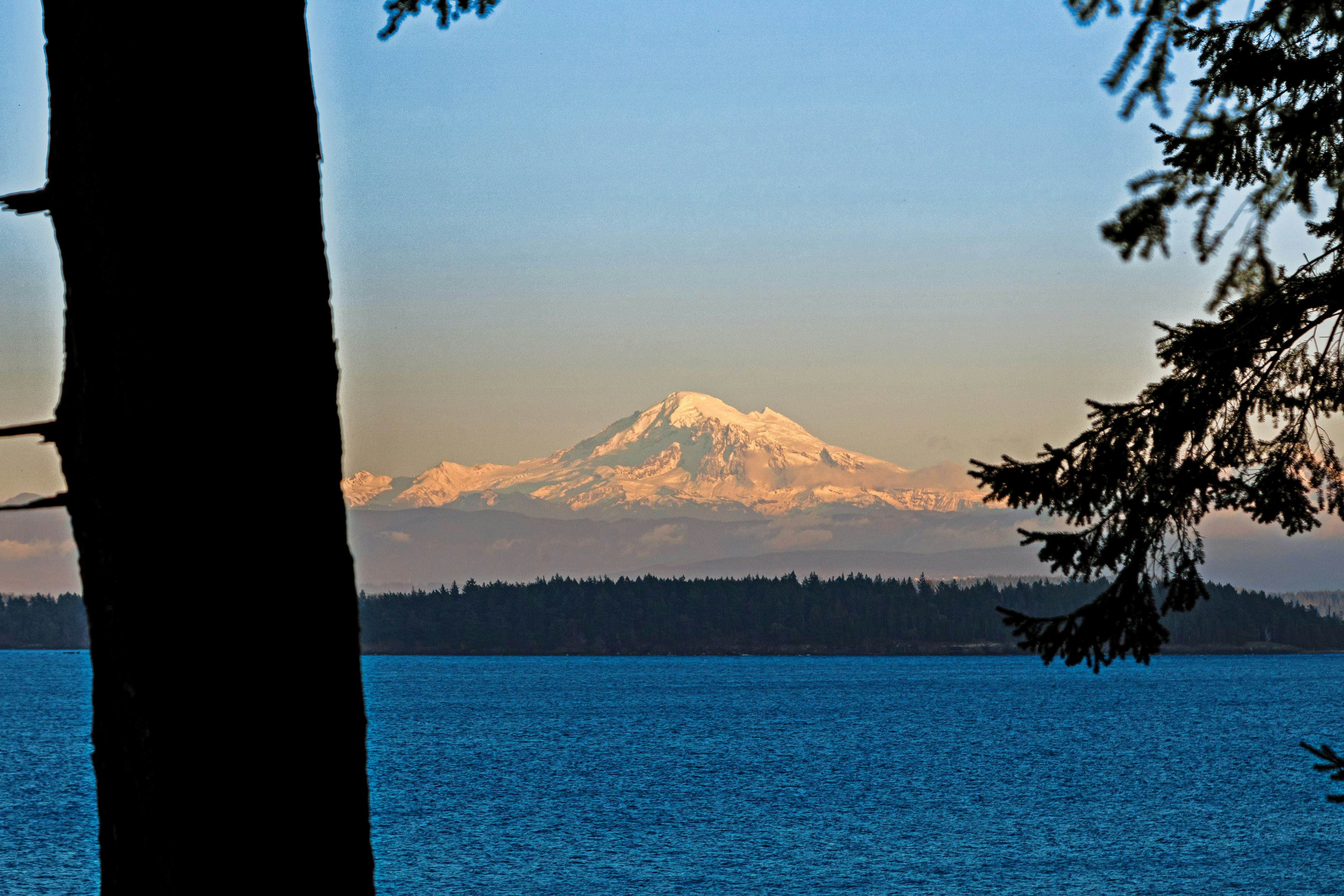 Whale View Waterfront Cottage