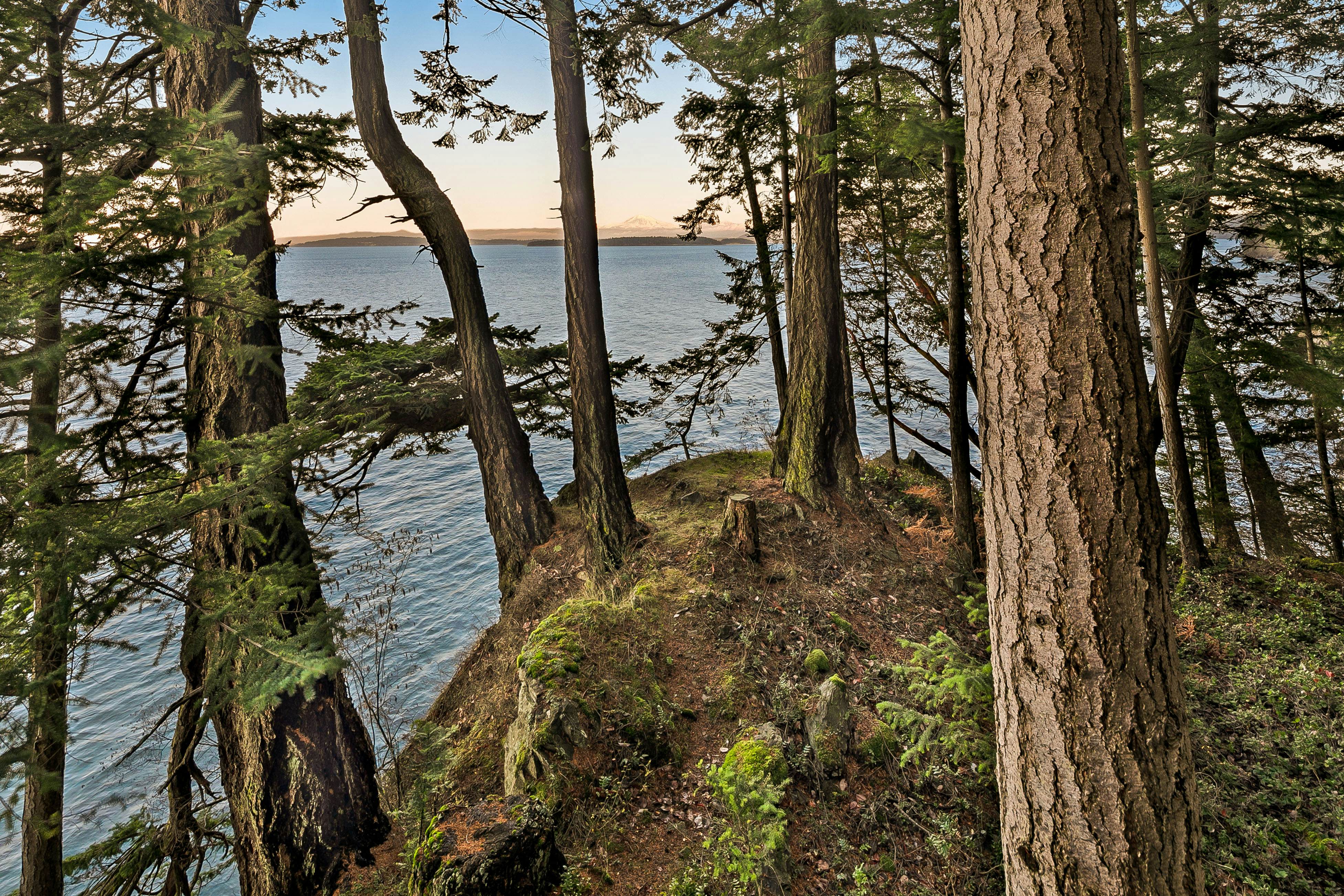 Whale View Waterfront Cottage