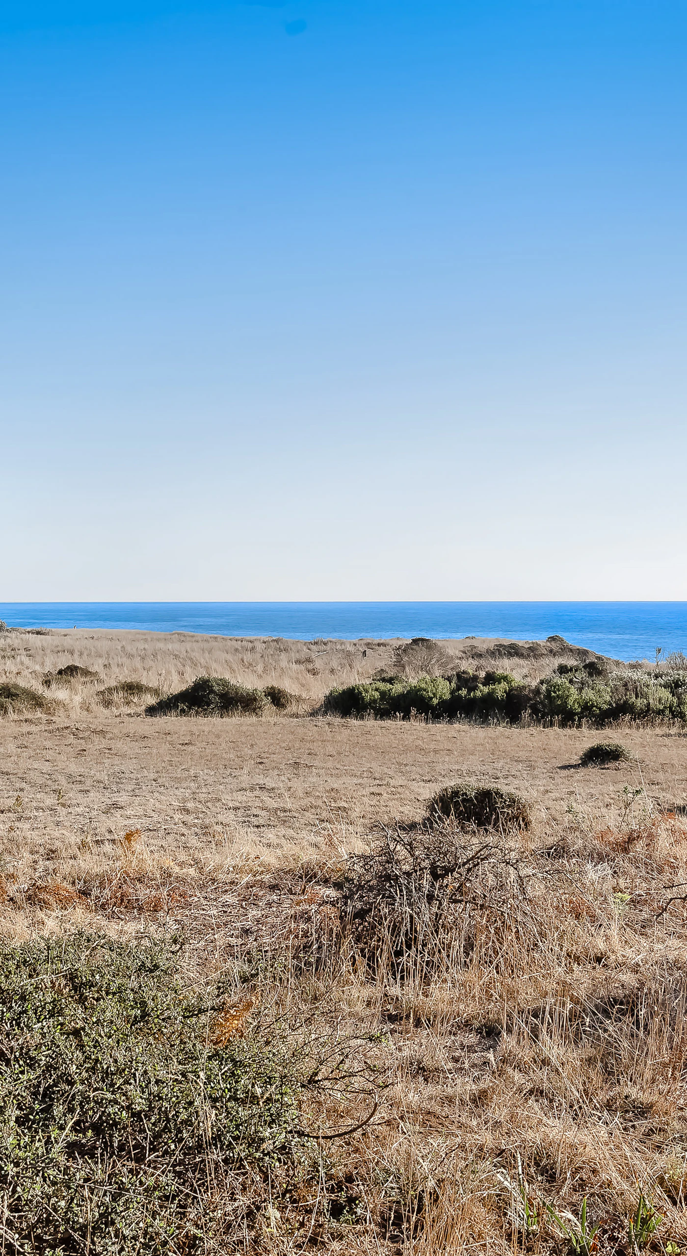 Gaze across the expansive landscape from this vantage point, where the beauty of the Sea Ranch coast unfolds before you.