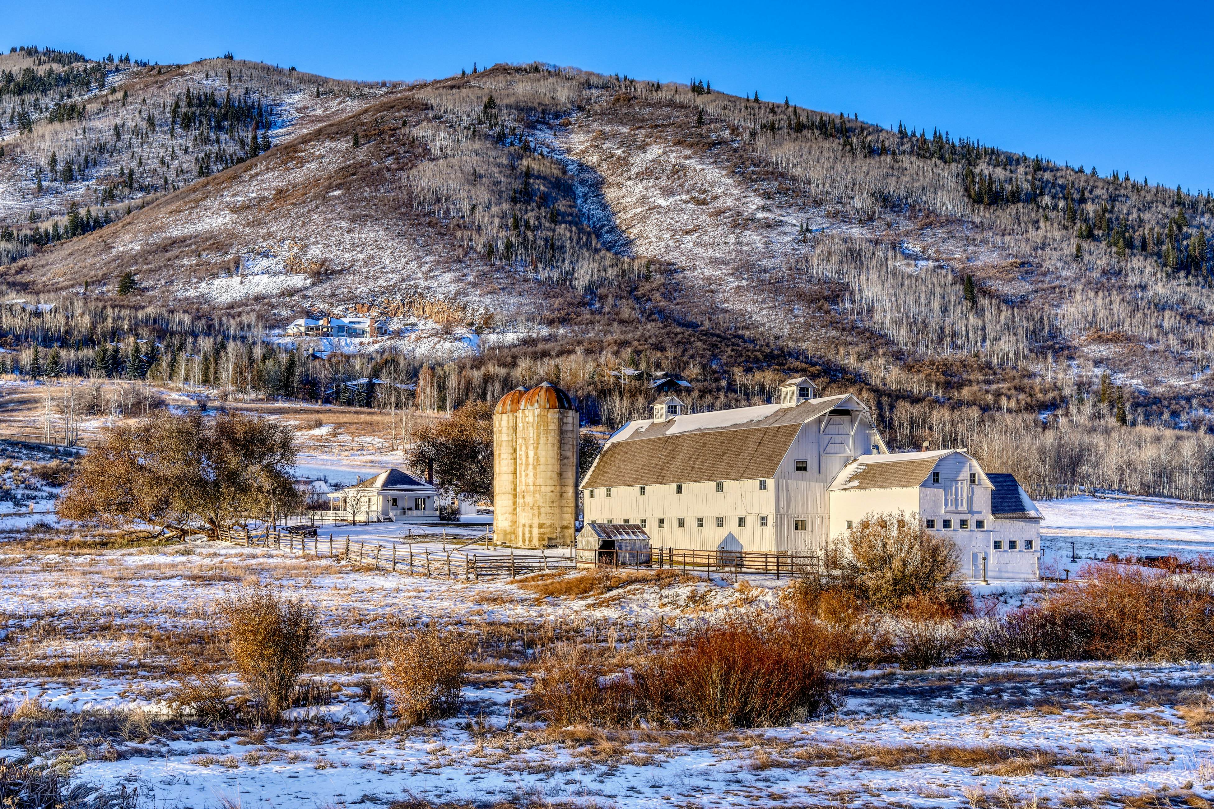 Black Bear Lodge #150