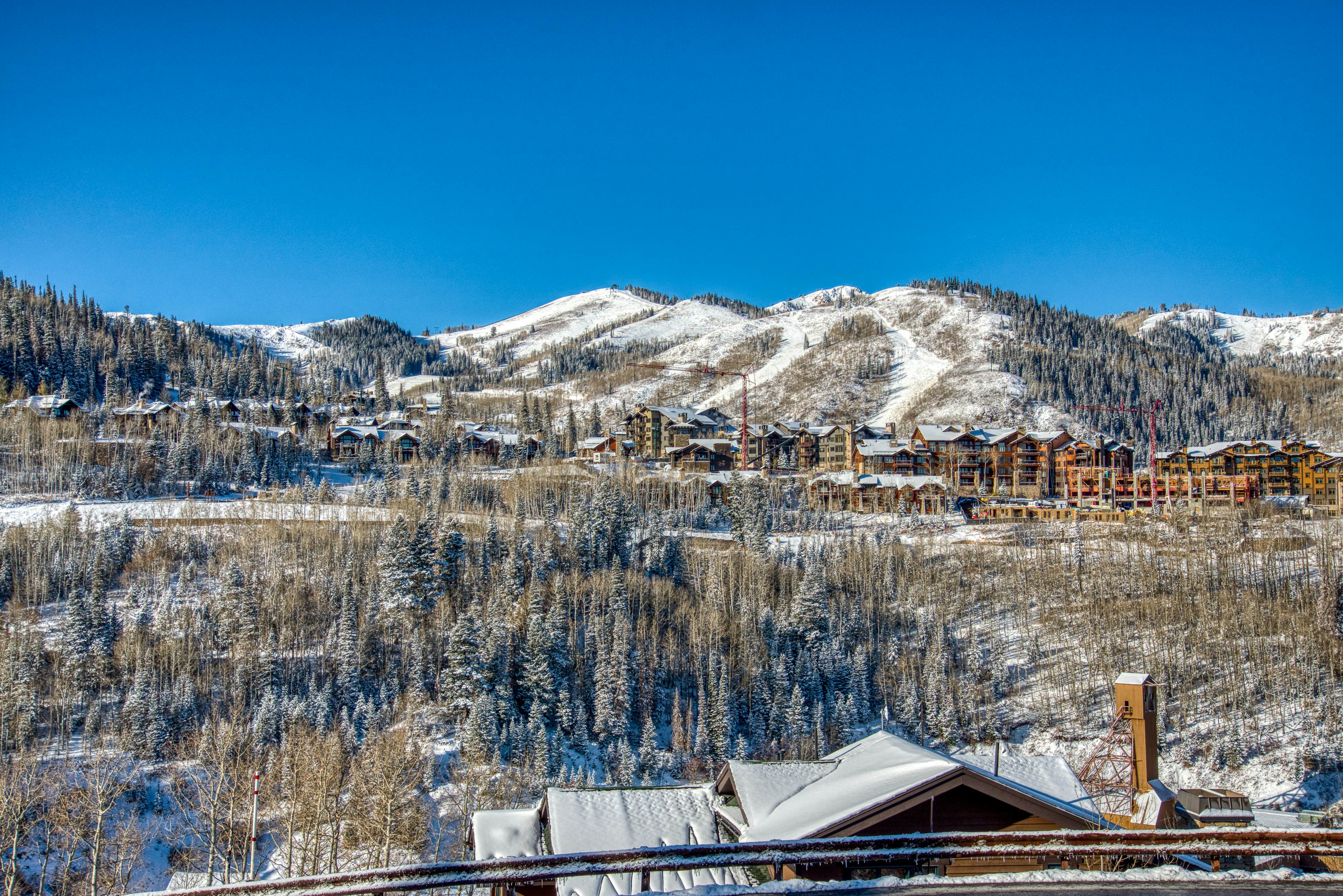 Black Bear Lodge #150