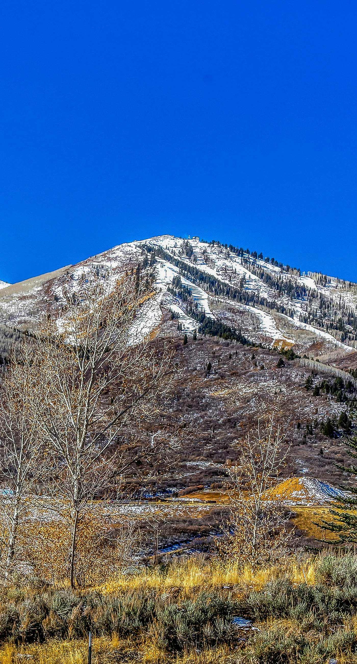 Canyons Resort Centric #450 A,B,C