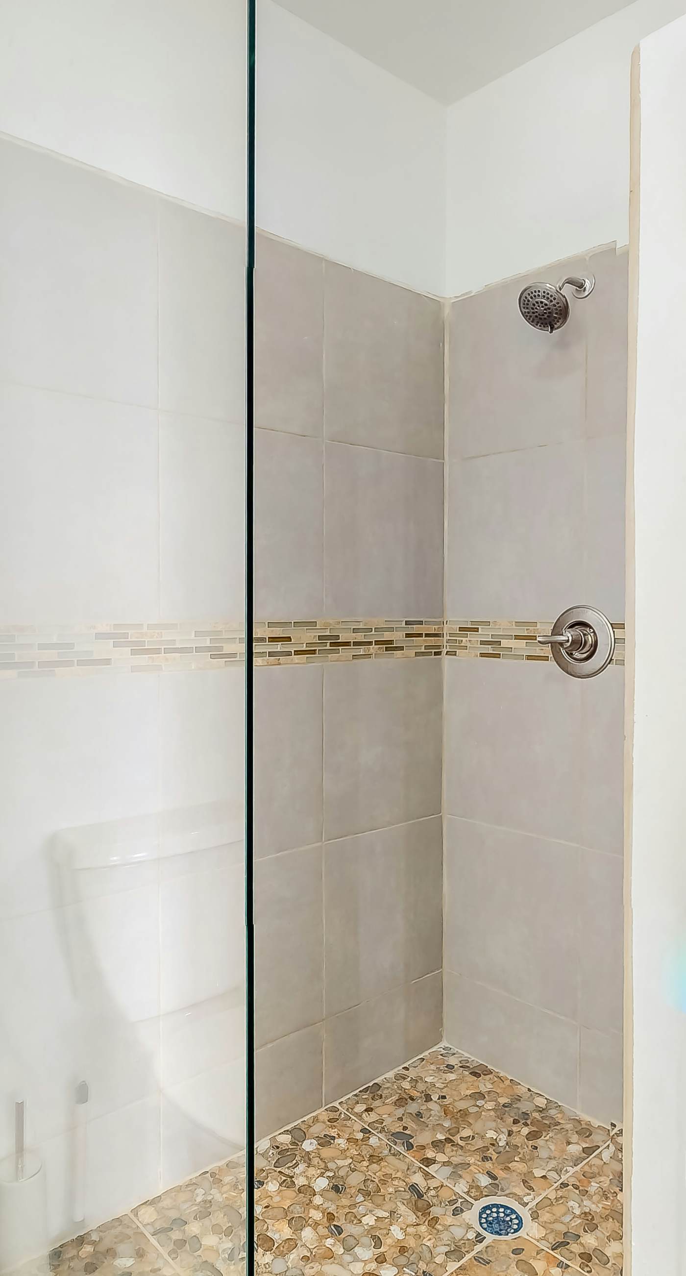 Jackson's Paradiso -Gold Standard Certified