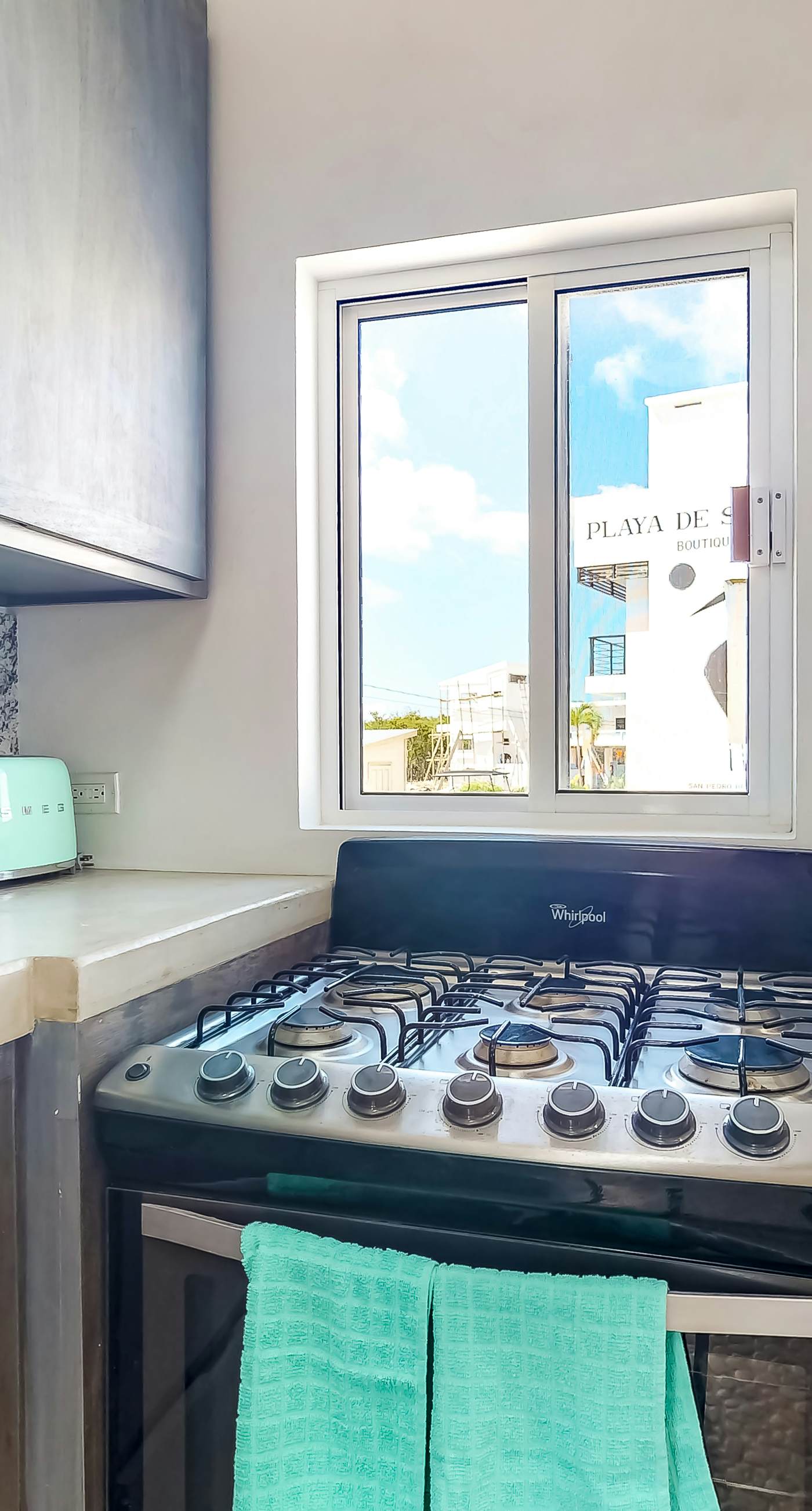 Jackson's Paradiso -Gold Standard Certified