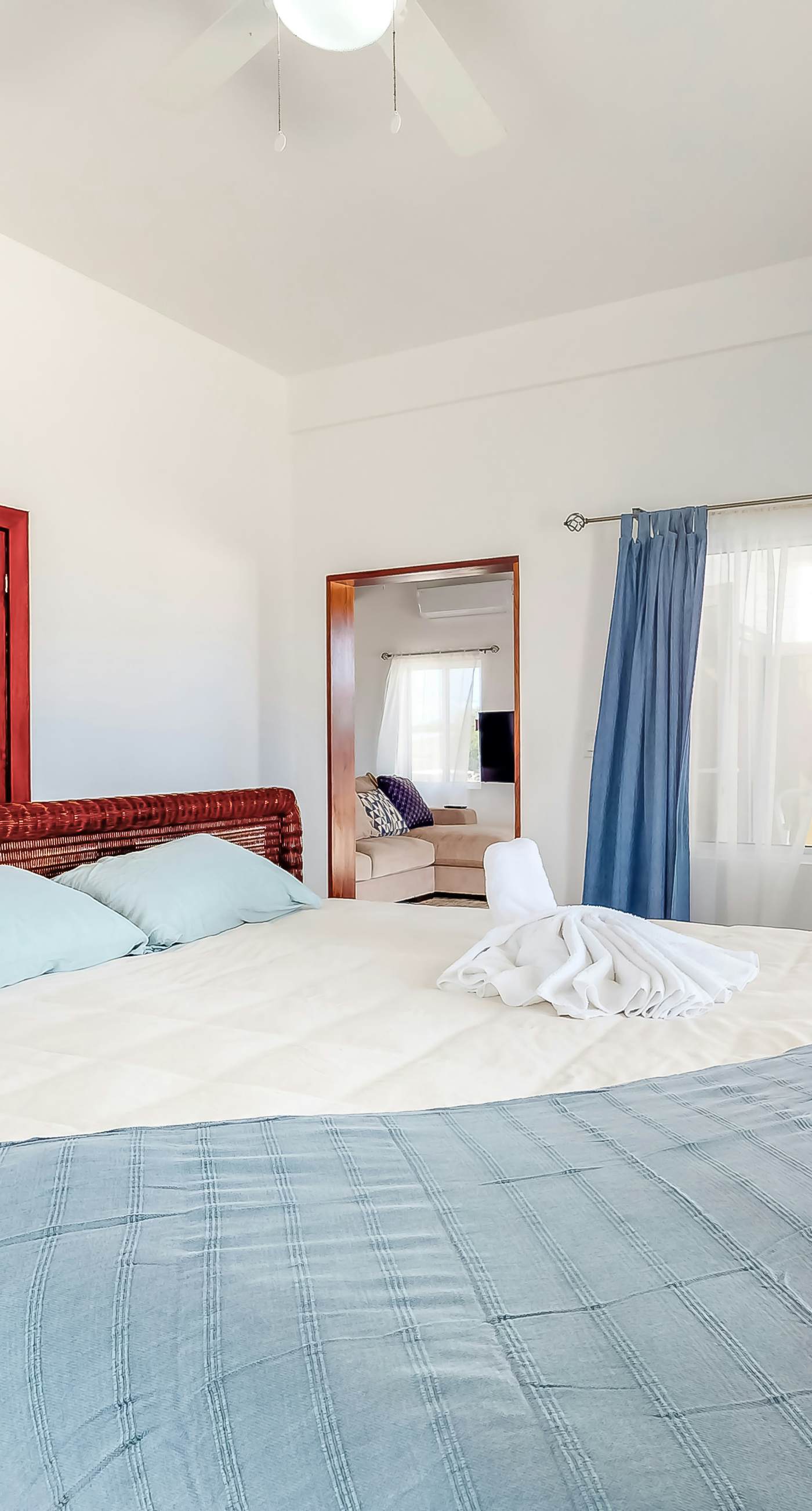 Jackson's Paradiso -Gold Standard Certified