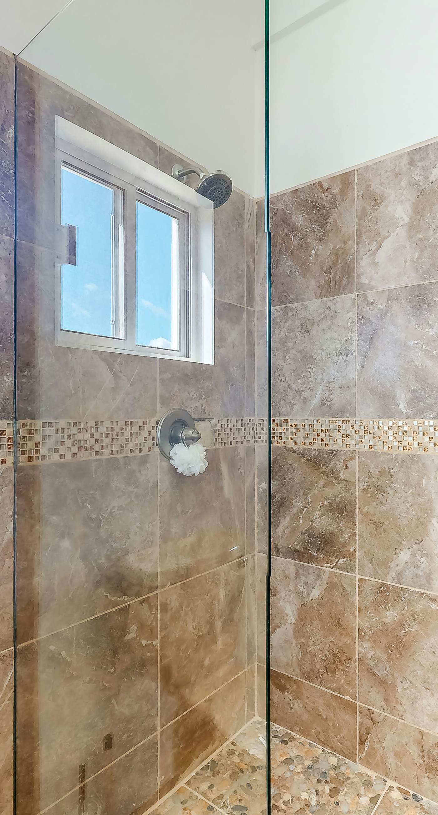 Jackson's Paradiso -Gold Standard Certified