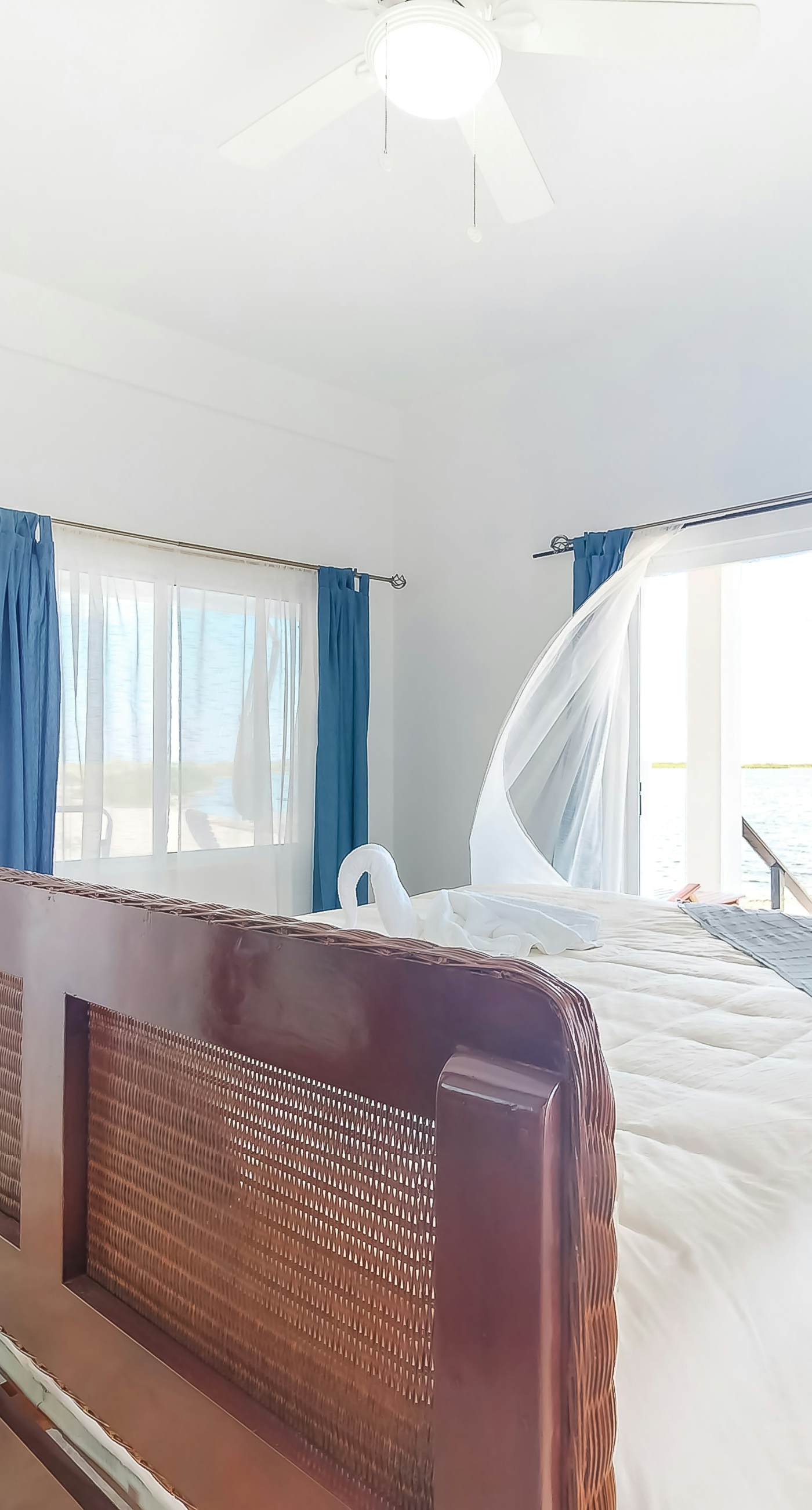 Jackson's Paradiso -Gold Standard Certified