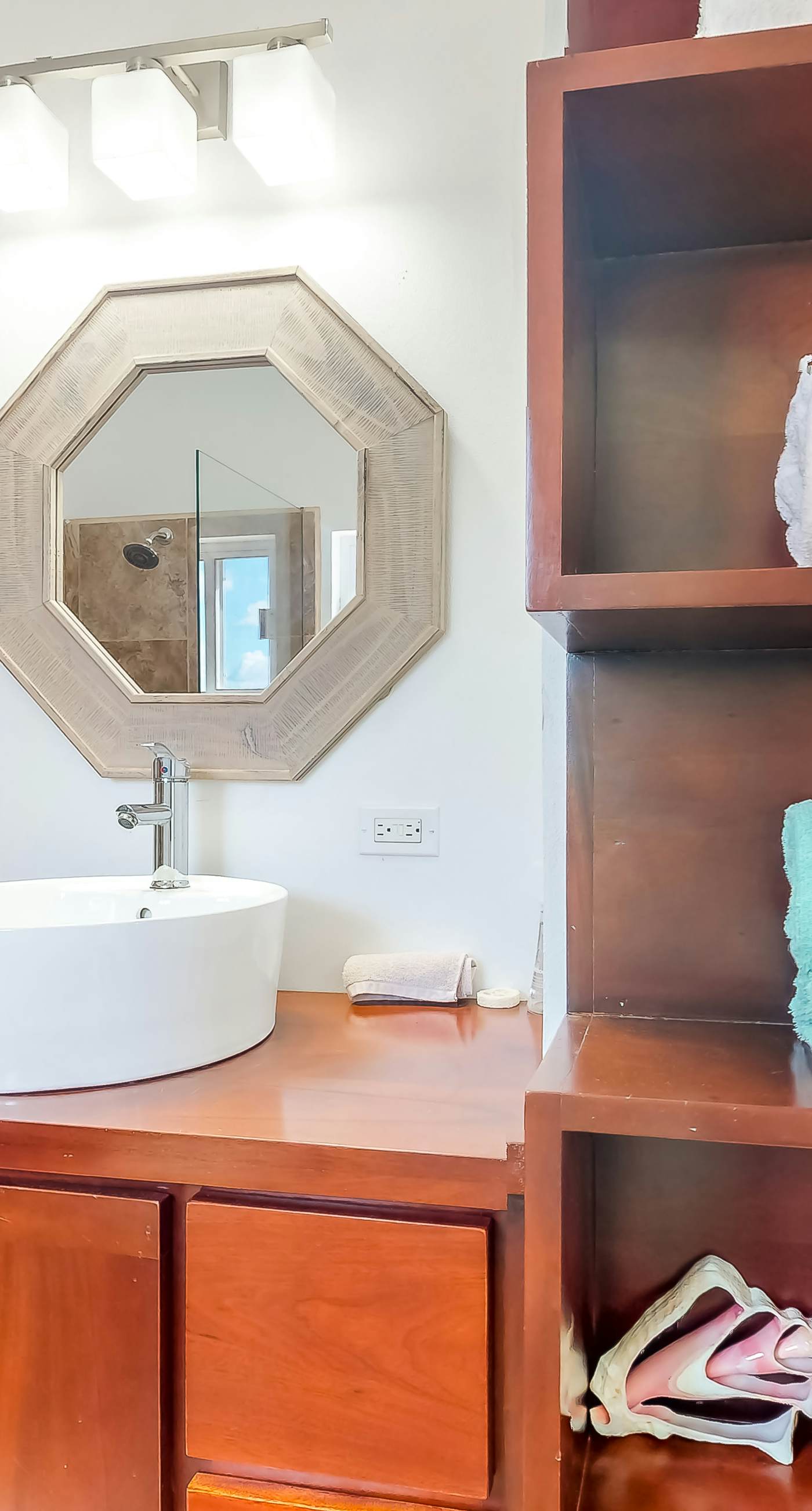 Jackson's Paradiso -Gold Standard Certified