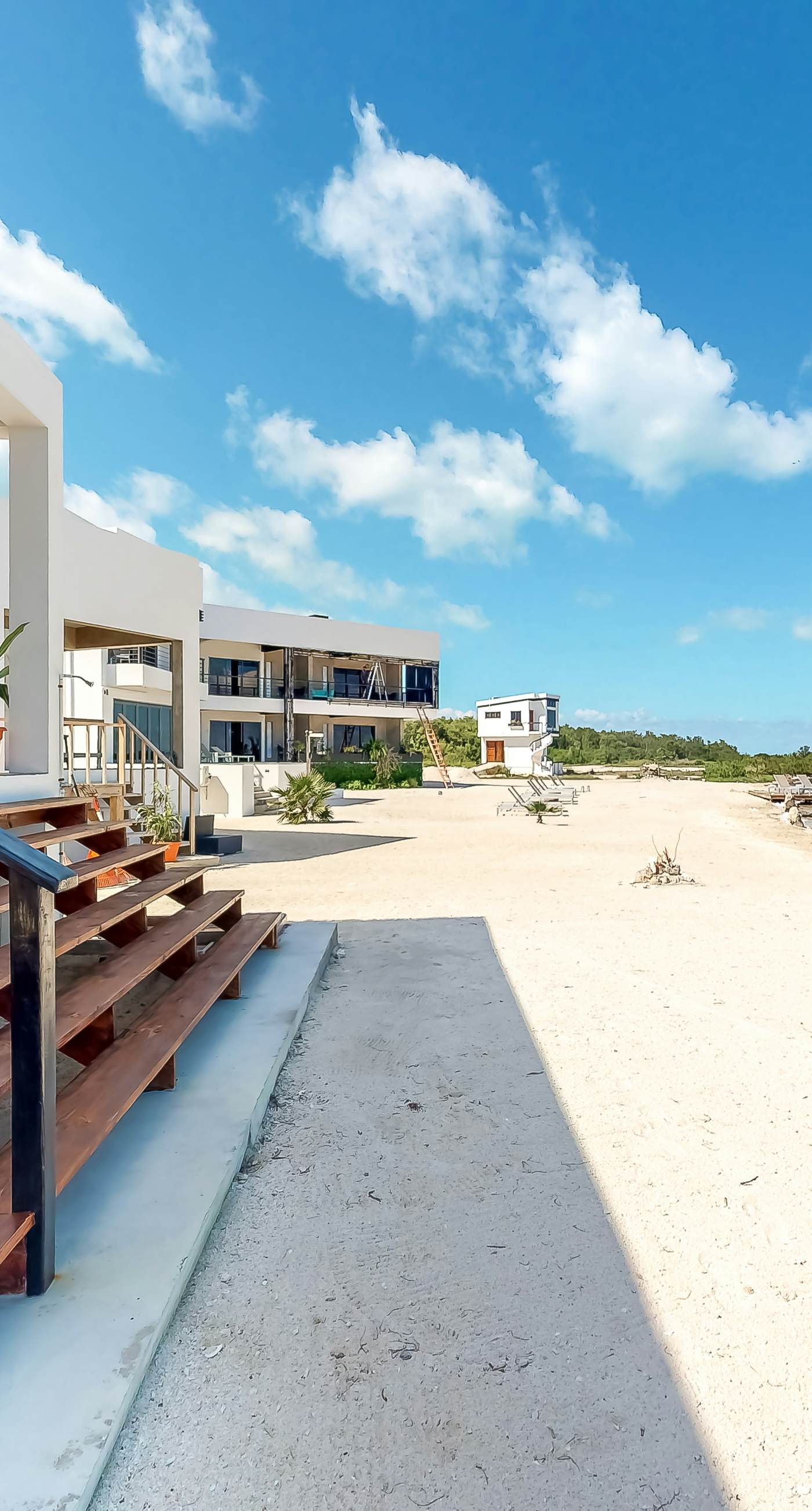 Jackson's Paradiso -Gold Standard Certified