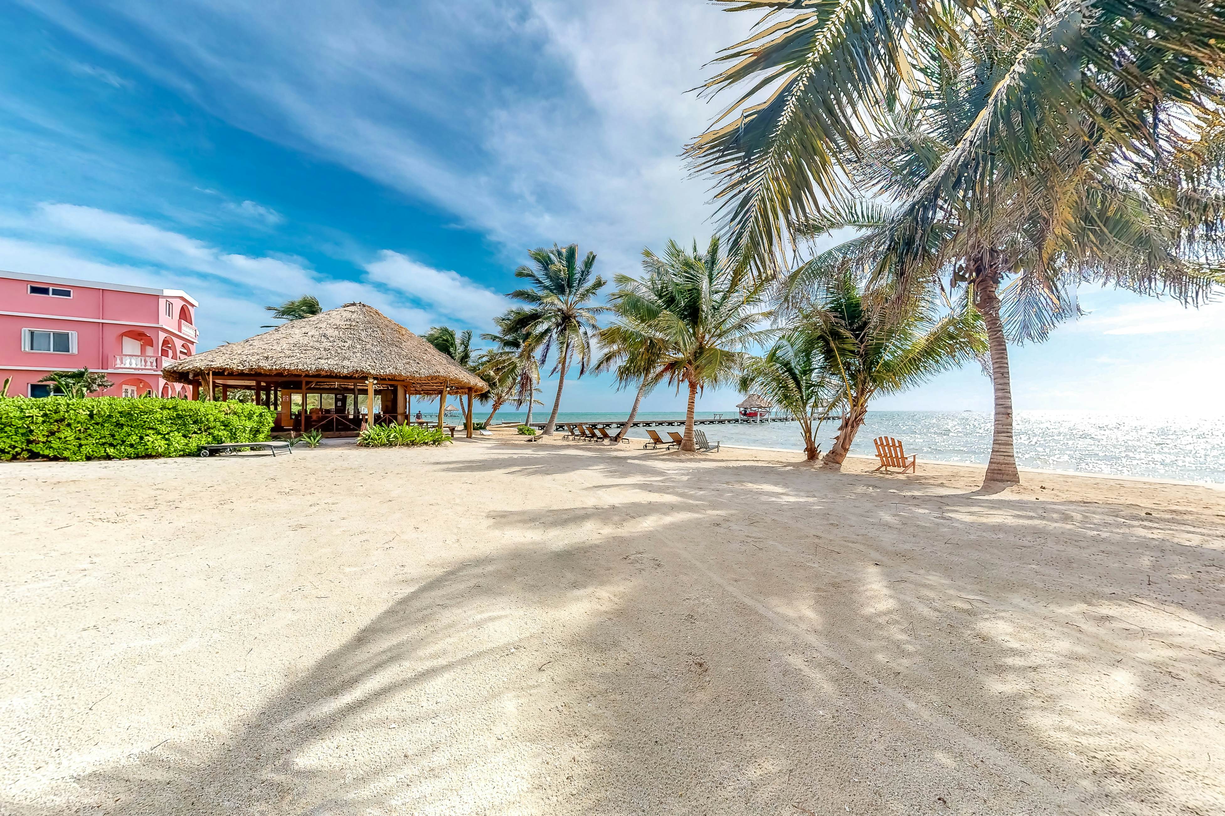 Black Orchid #22 at Caribe Island  -Gold Standard Certified