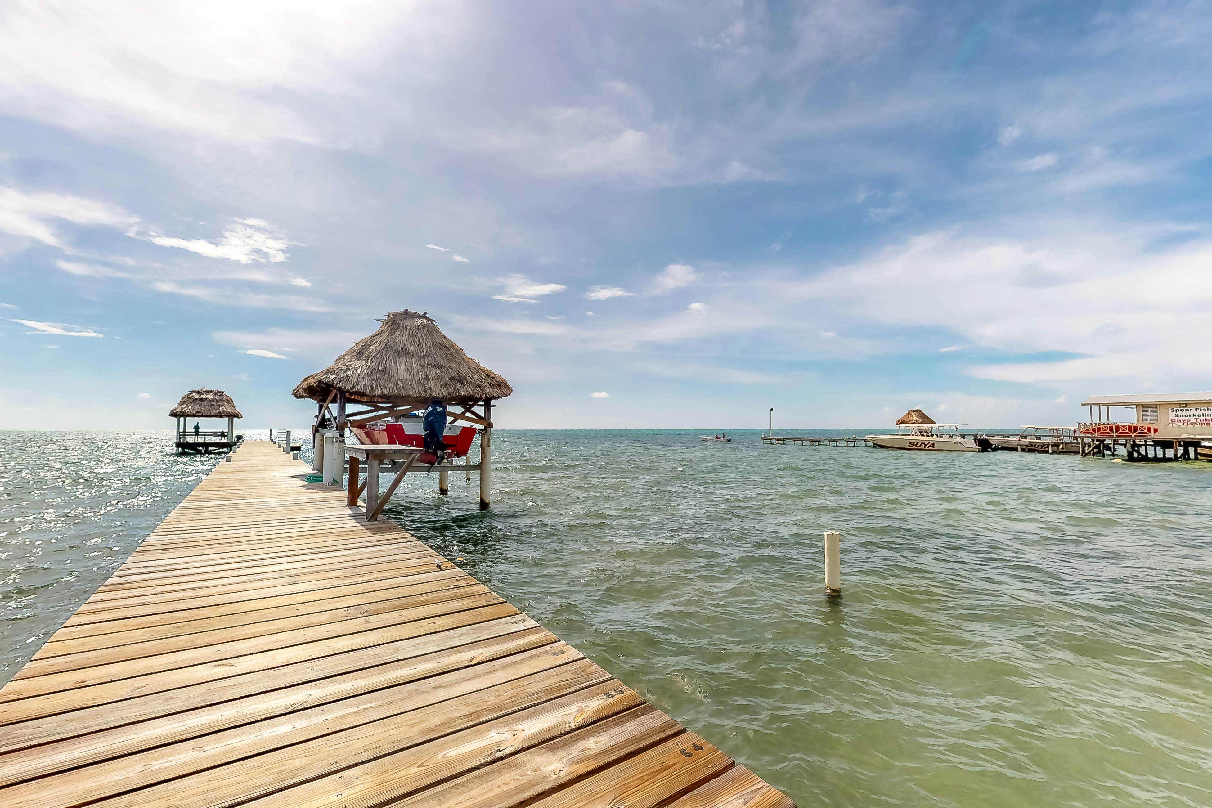 Palm #12 at Caribe Island  -Gold Standard Certified