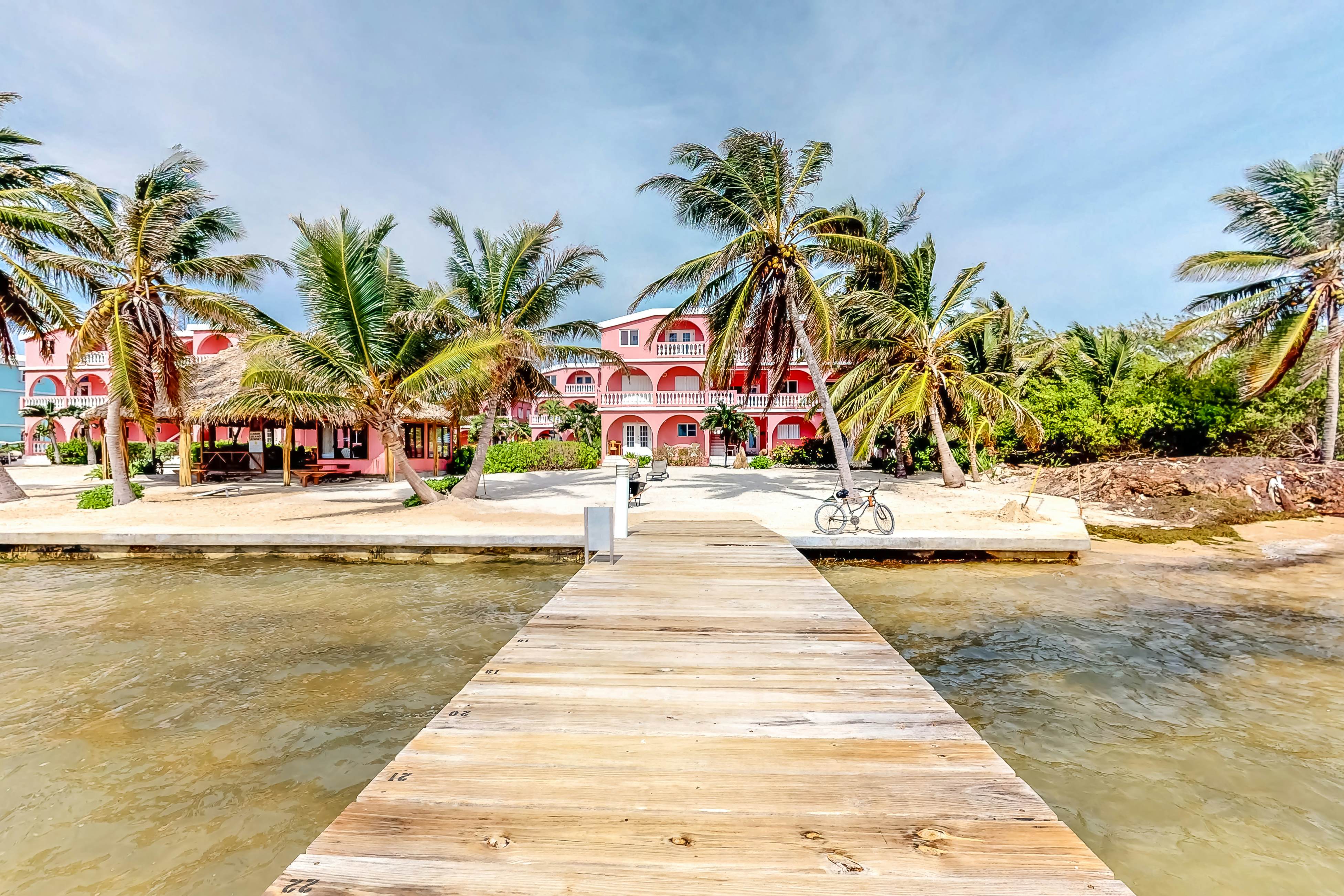 Cacao #18 at Caribe Island  -Gold Standard Certified