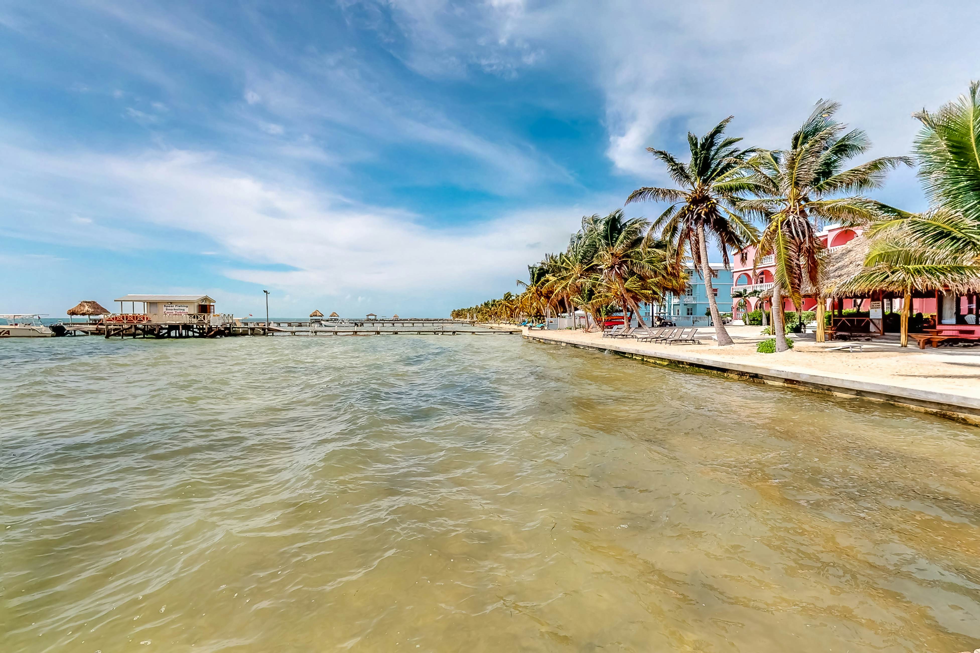 Dhalia #21 at Caribe Island  -Gold Standard Certified