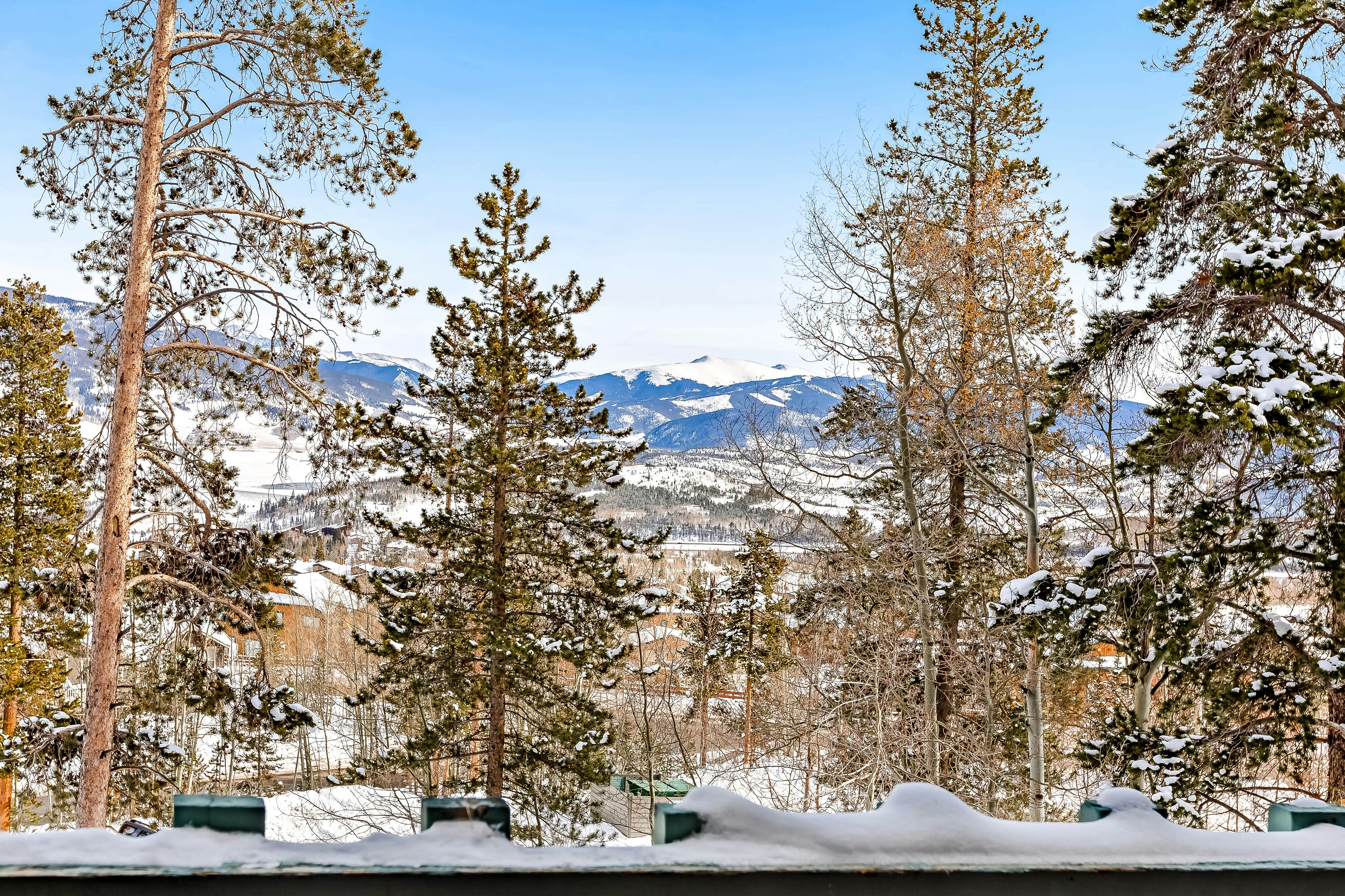 Lodgepole Treehouse A302
