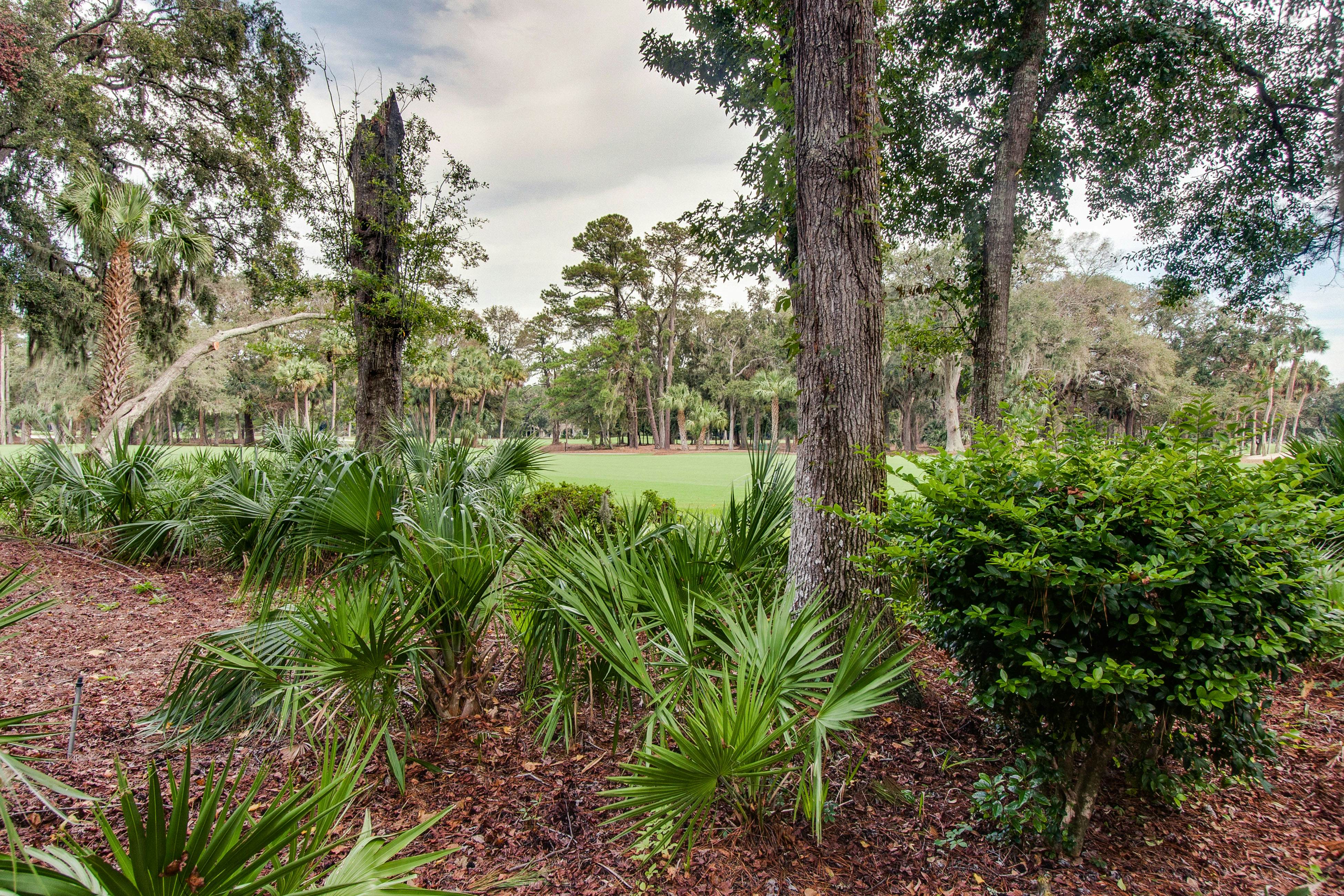 Plantation Club 464