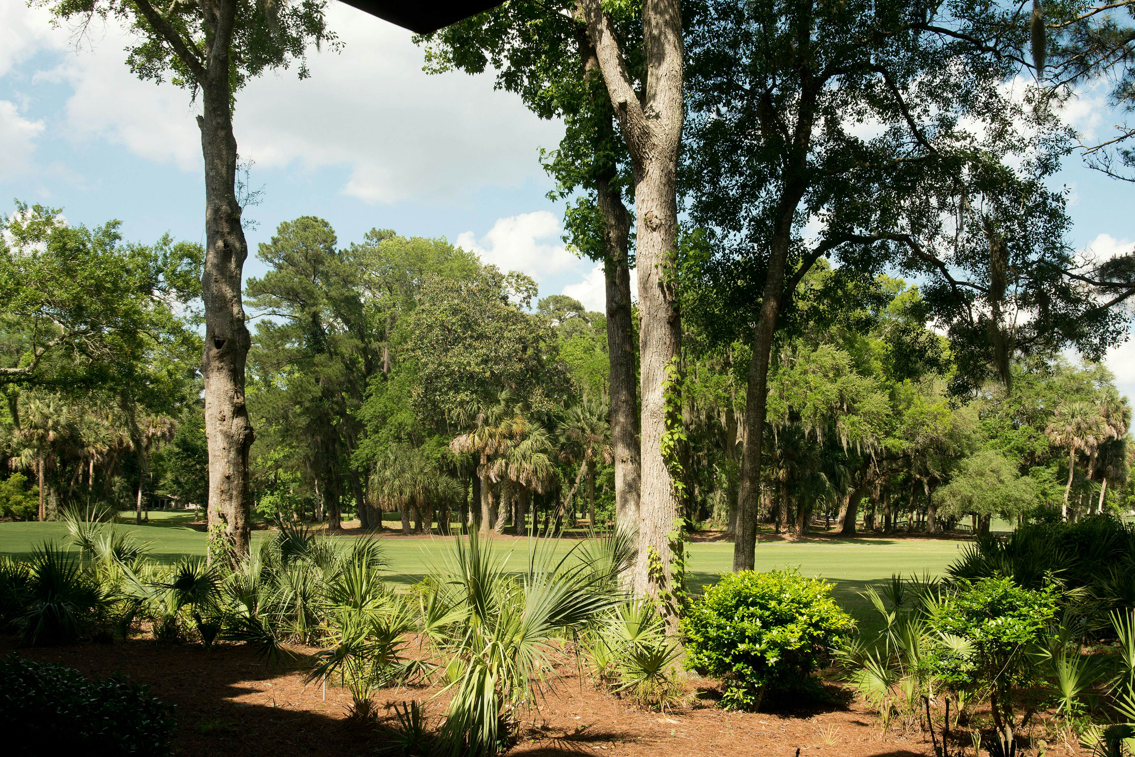 Plantation Club 464