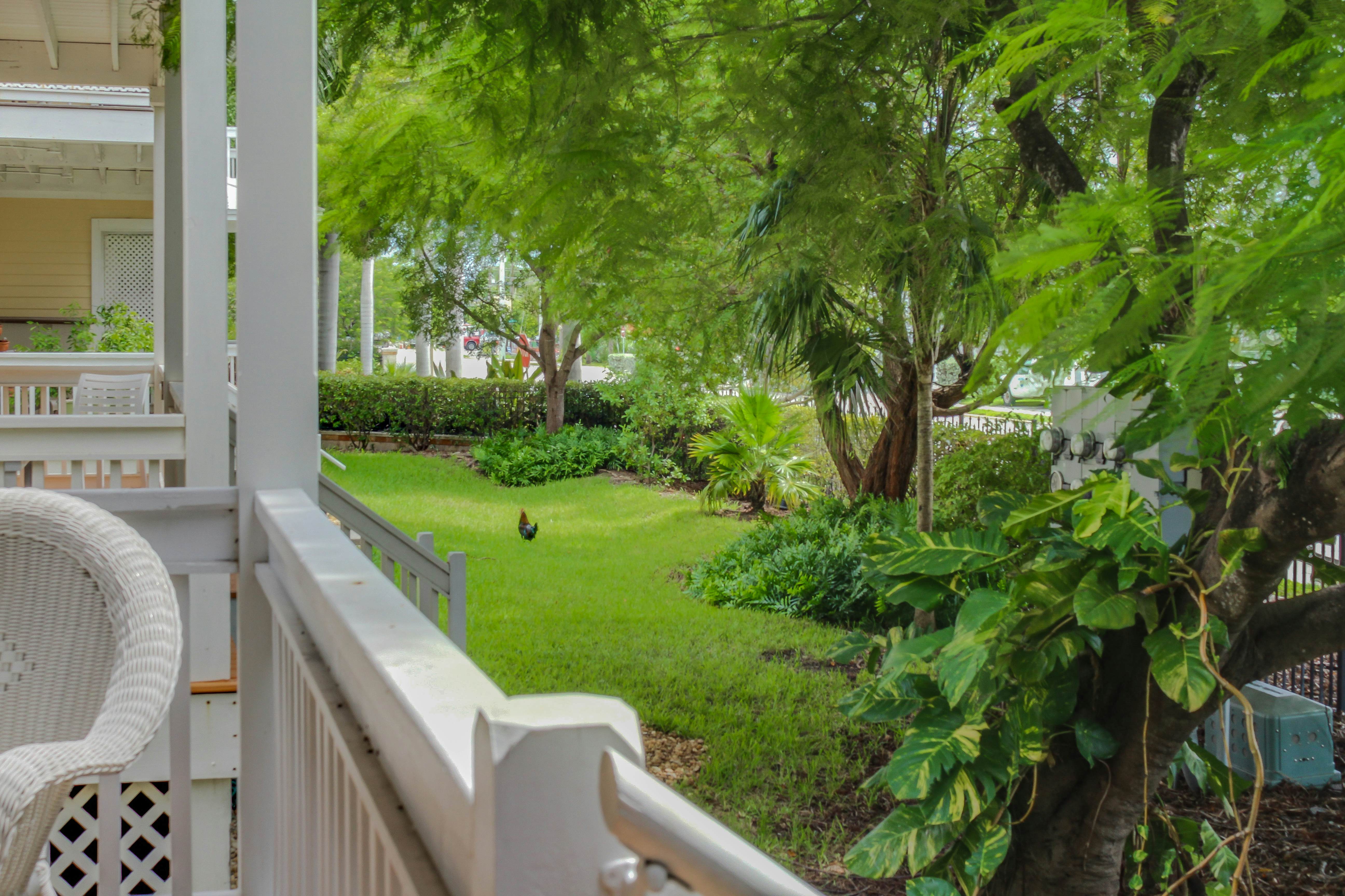 Hemingway Hideaway 3 BD Key West, FL Vacation Rental Vacasa