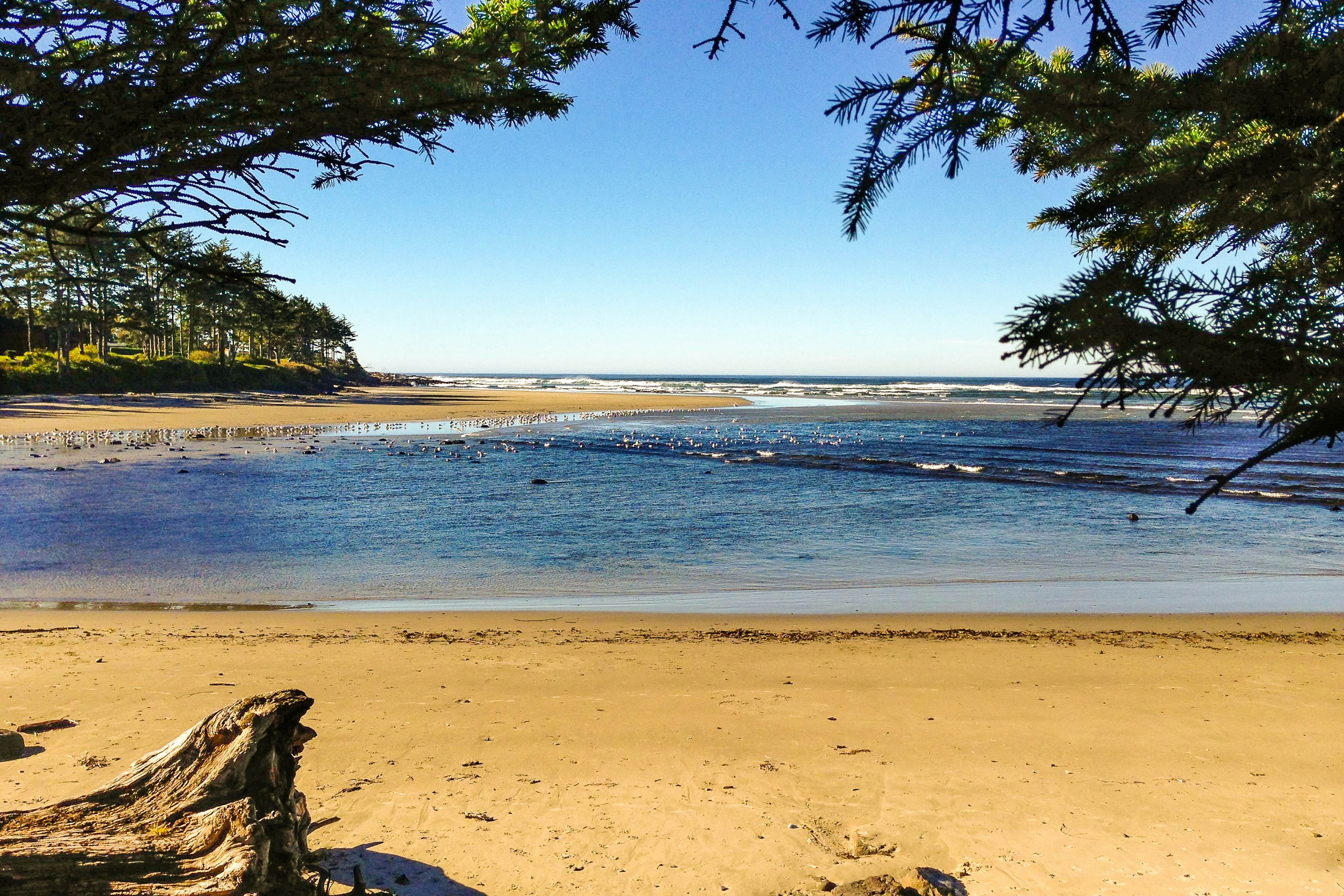 Hidden Luxury Beachfront Estate 4 BD Yachats, OR Vacation Rental Vacasa