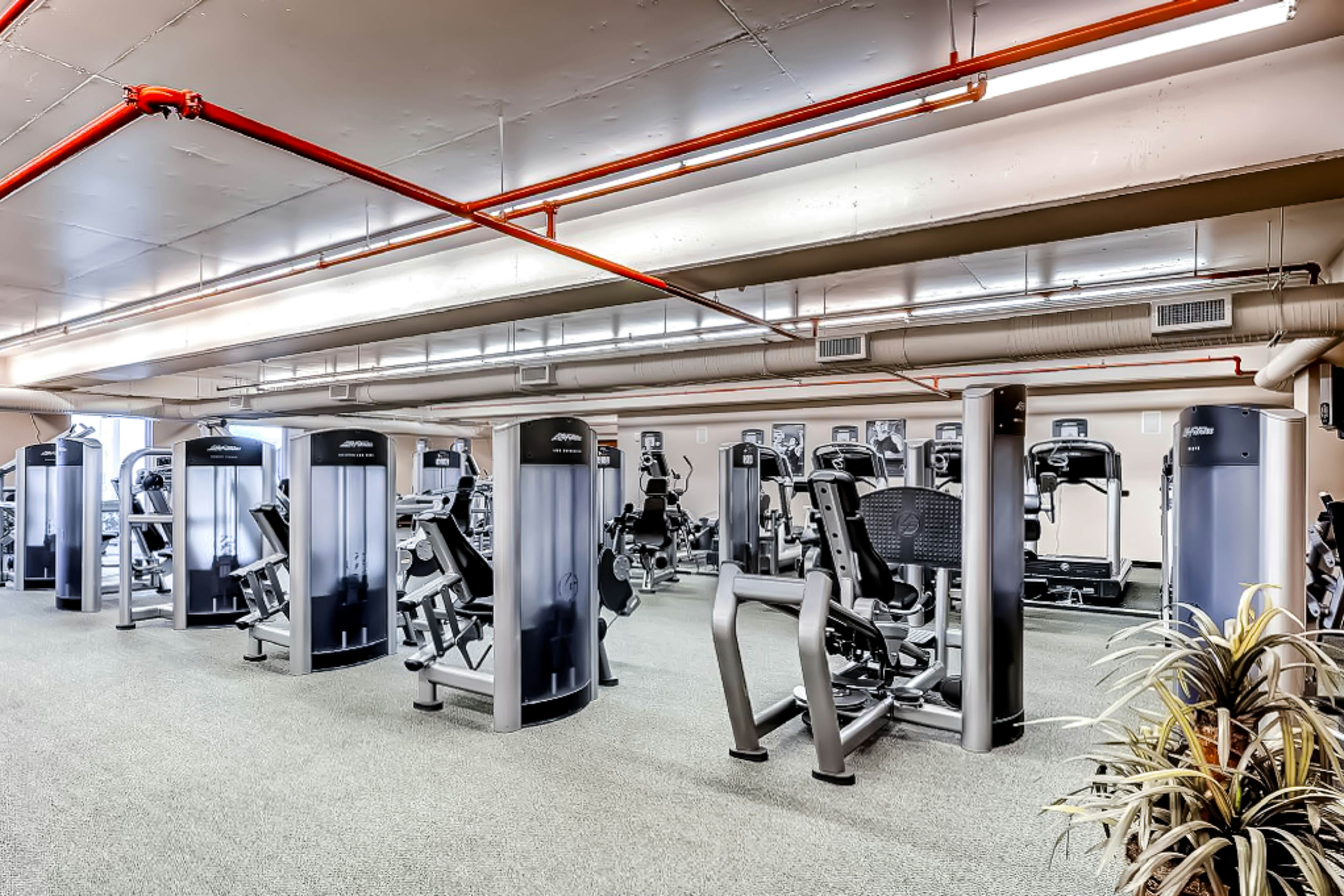 Majestic Beach Resort Tower 1- 1003