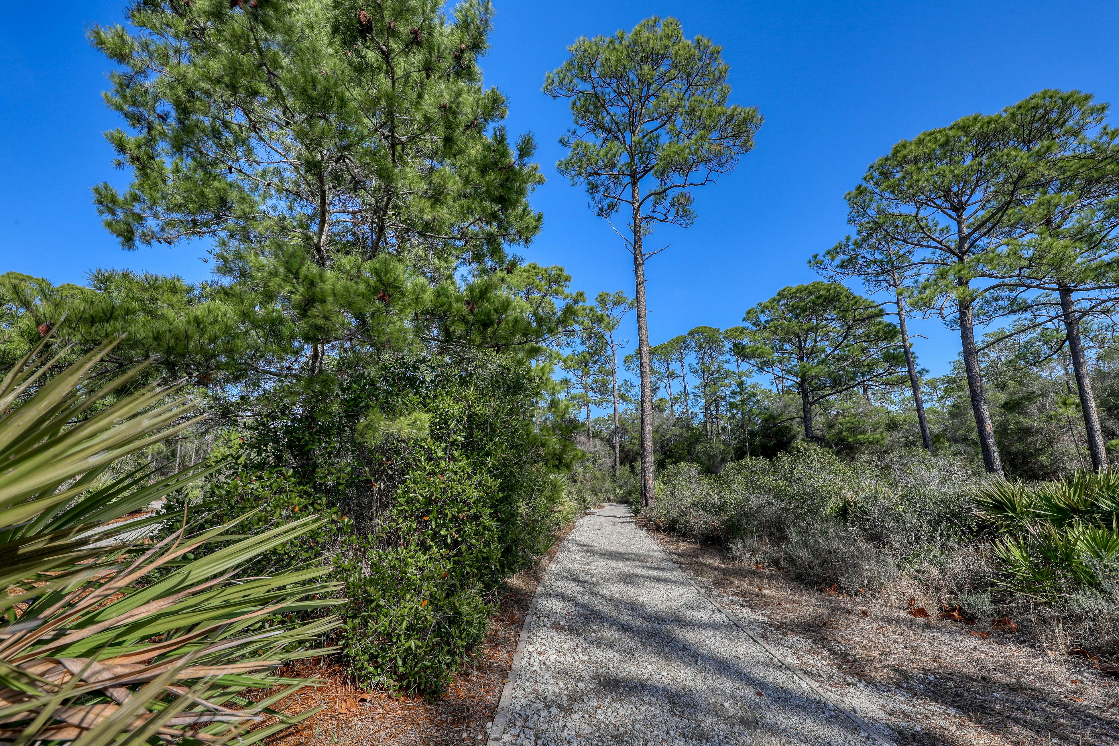 Village of South Walton A328