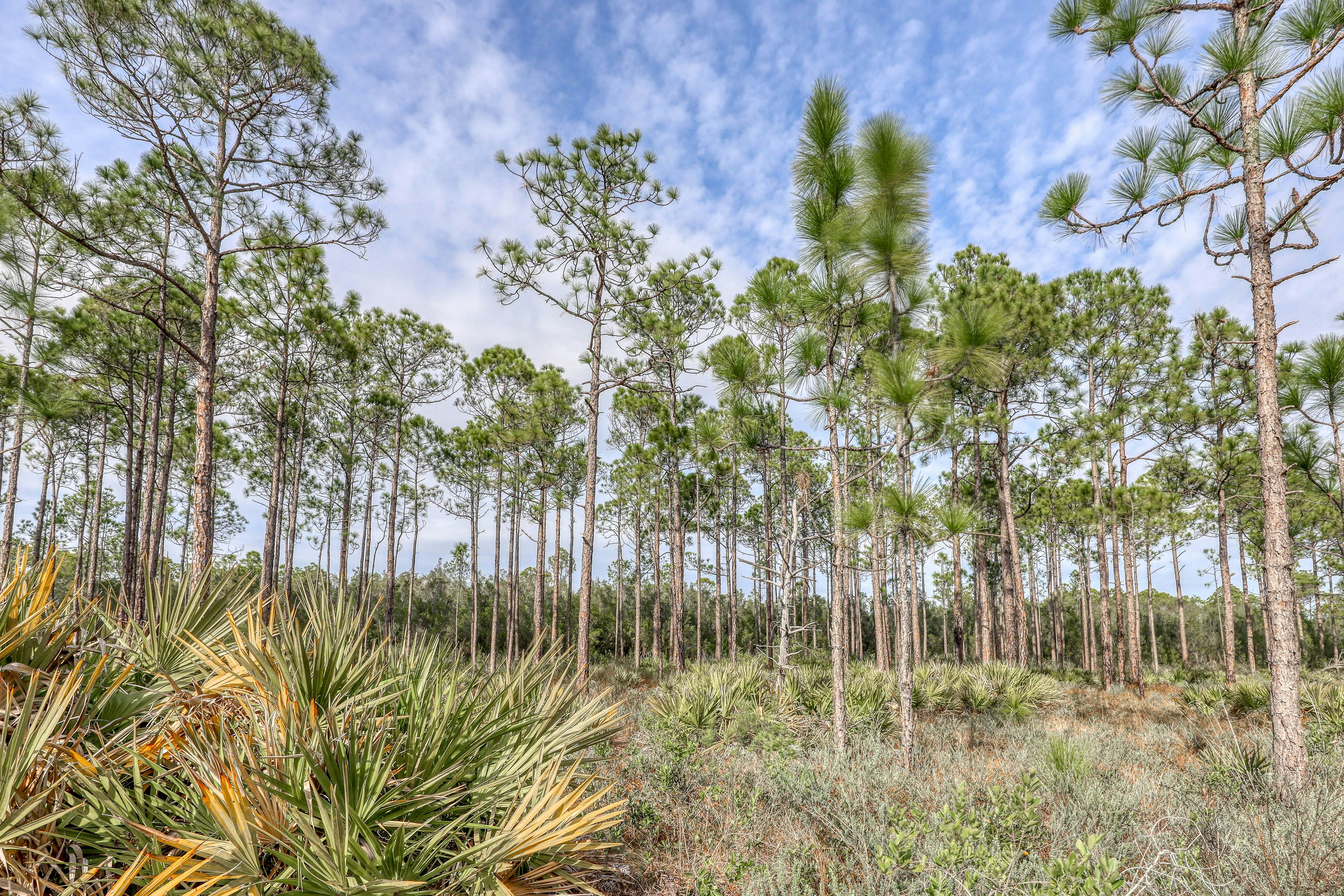 Village of South Walton EB211