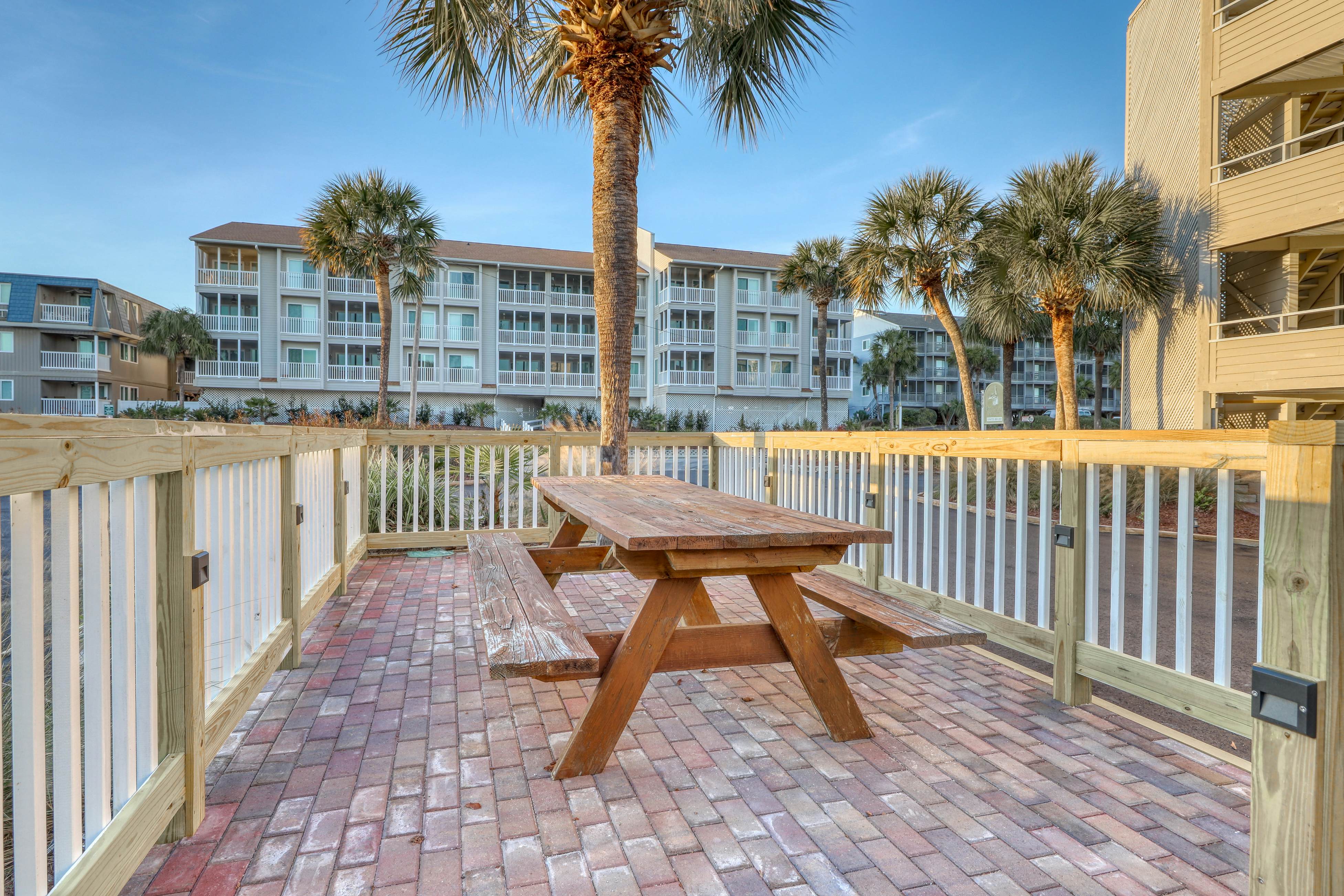Pelicans Watch 106 On the Beach