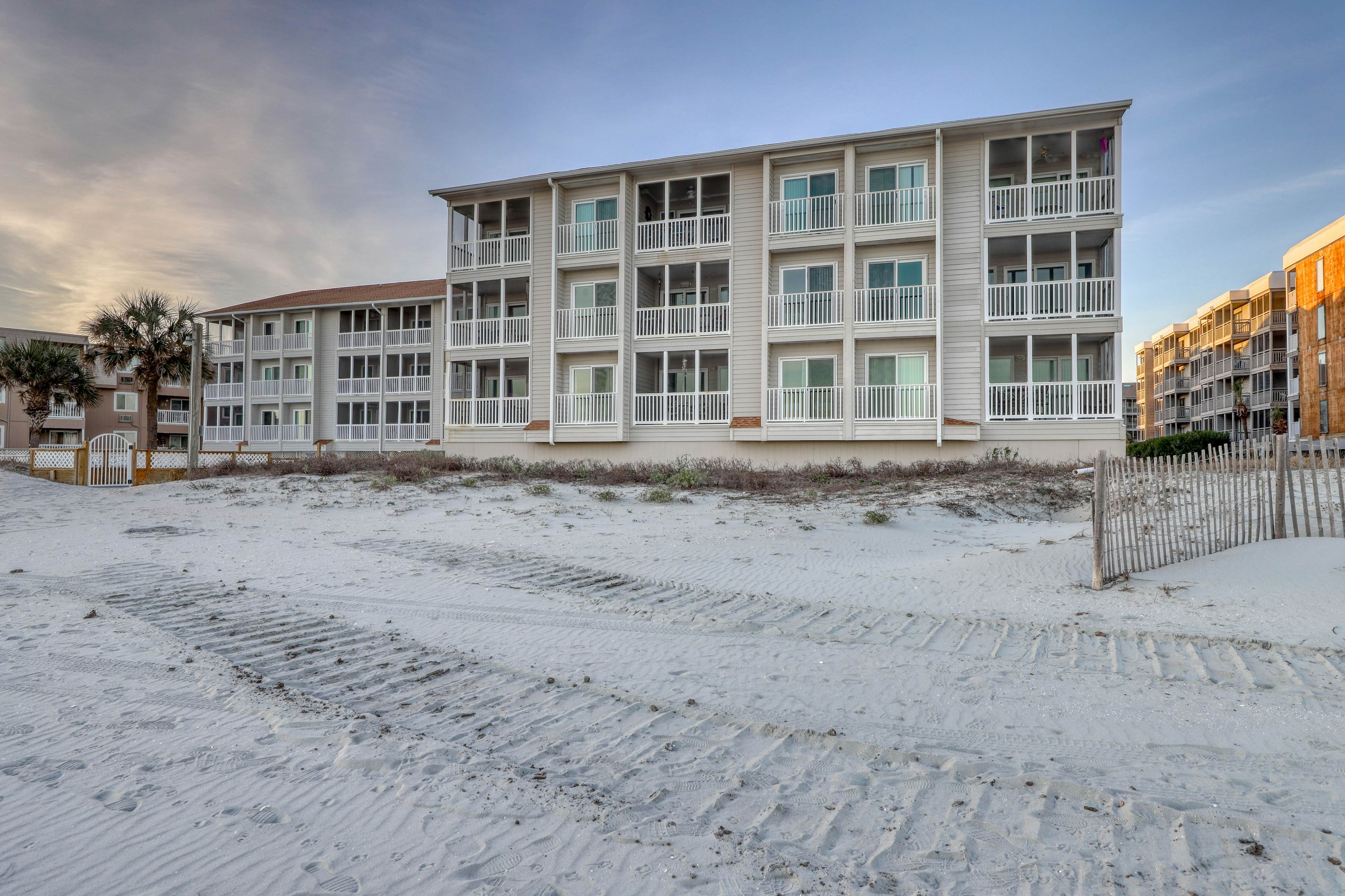 Pelicans Watch 106 On the Beach