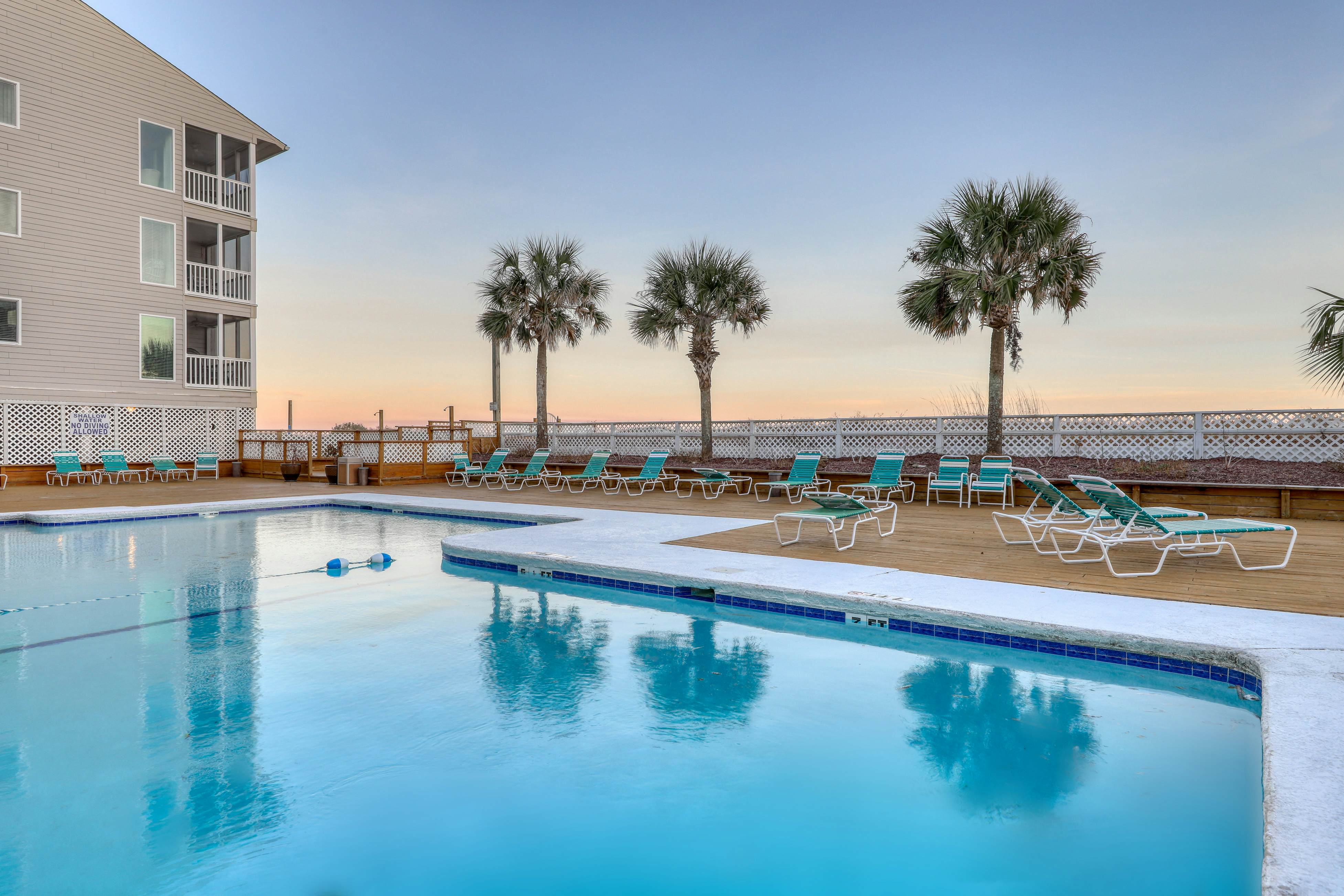 Pelicans Watch 106 On the Beach