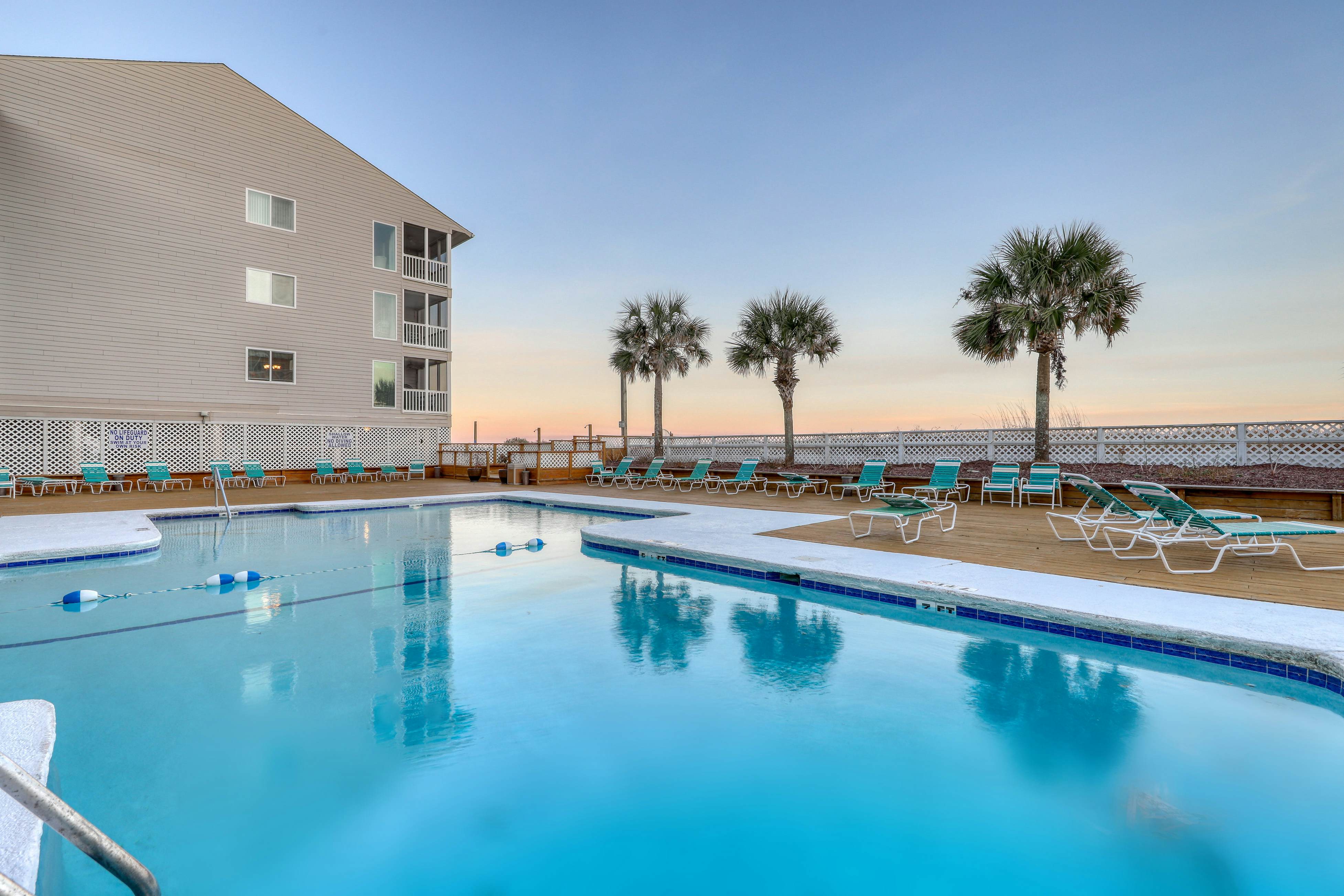 Pelicans Watch 106 On the Beach