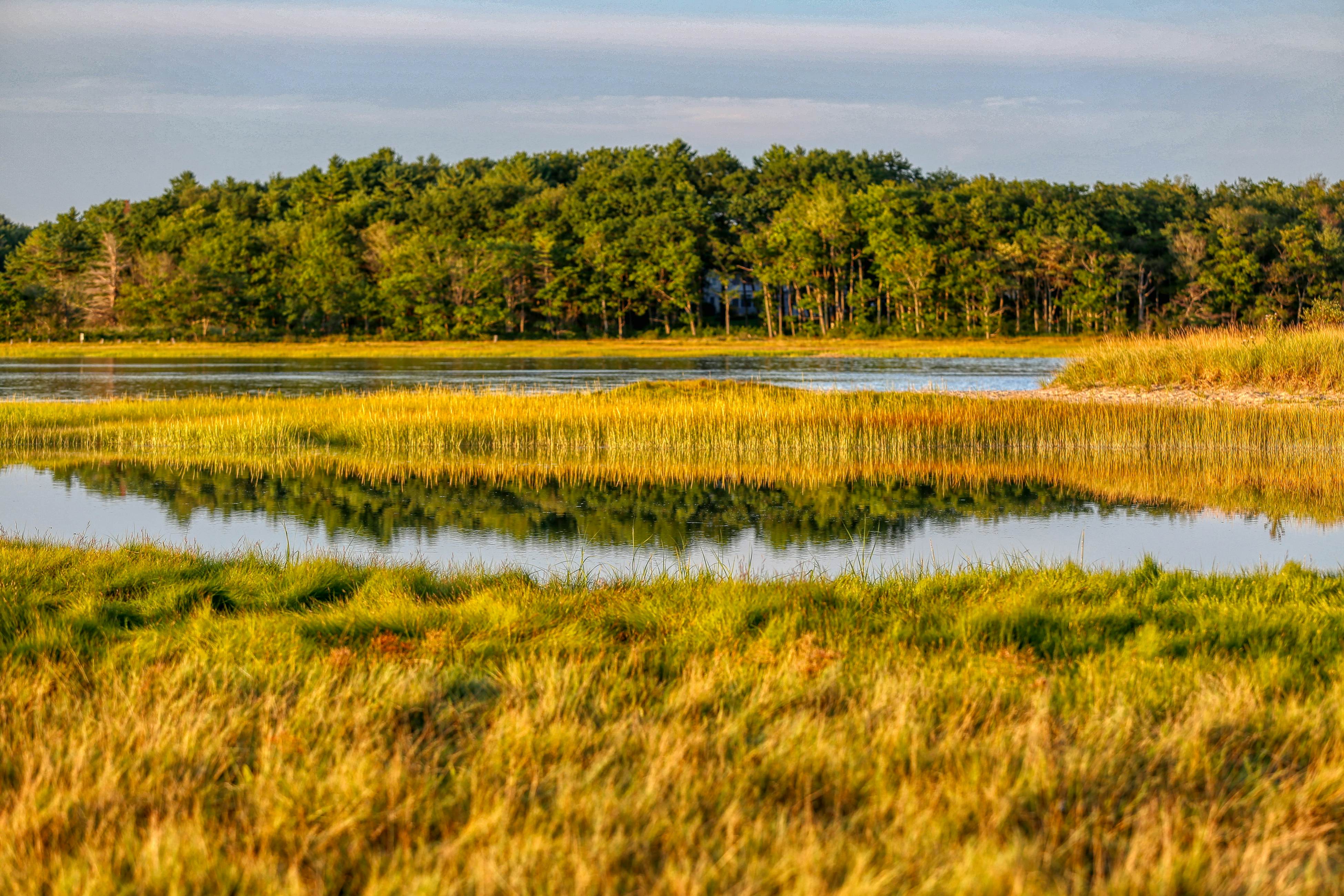 Plover’s Run Cottage 32 at Shorelands Resort