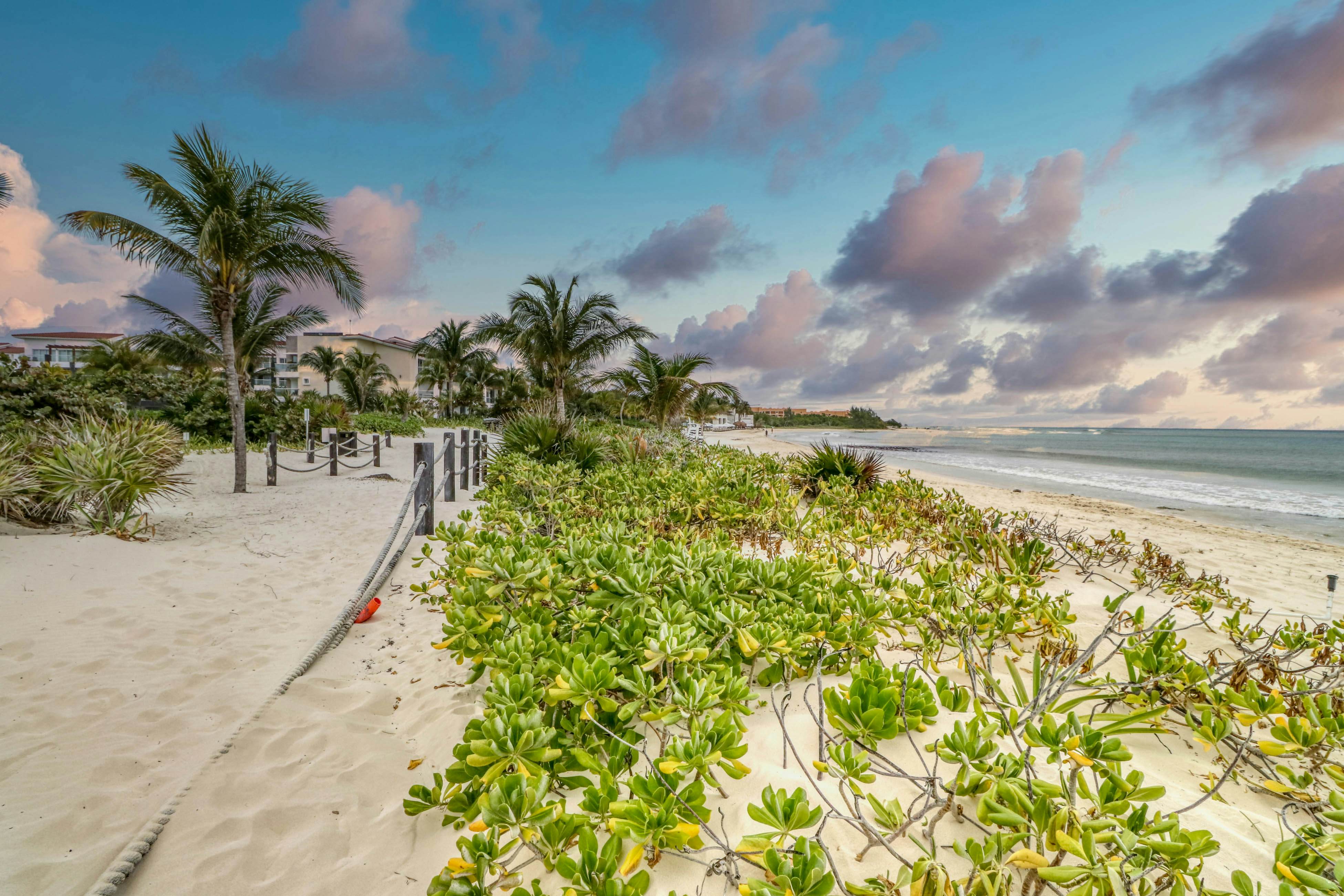 Gorgeous Oceanfront 115 Norte at Mareazul Beachfront