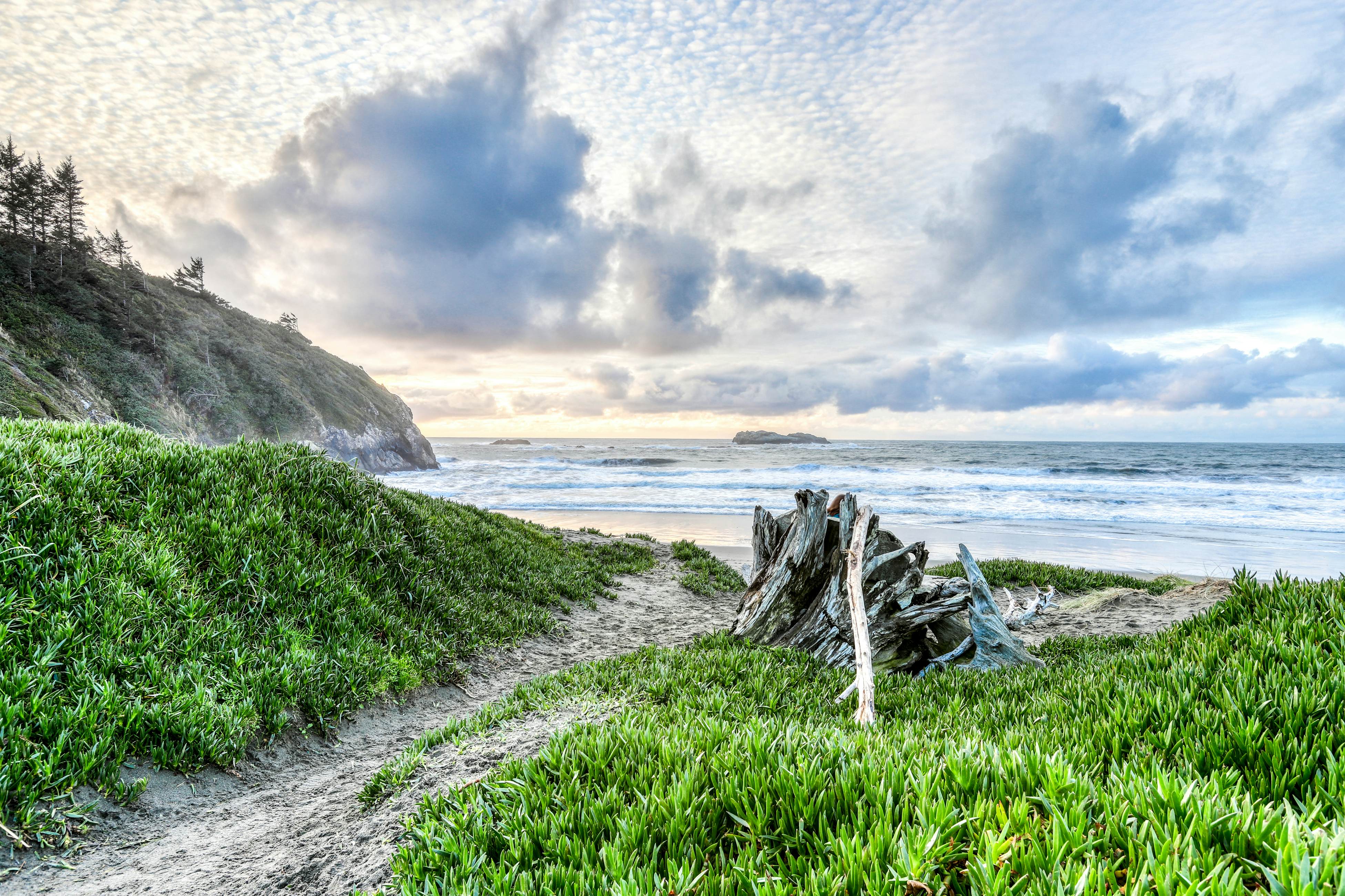 Whalerock Luxury Home