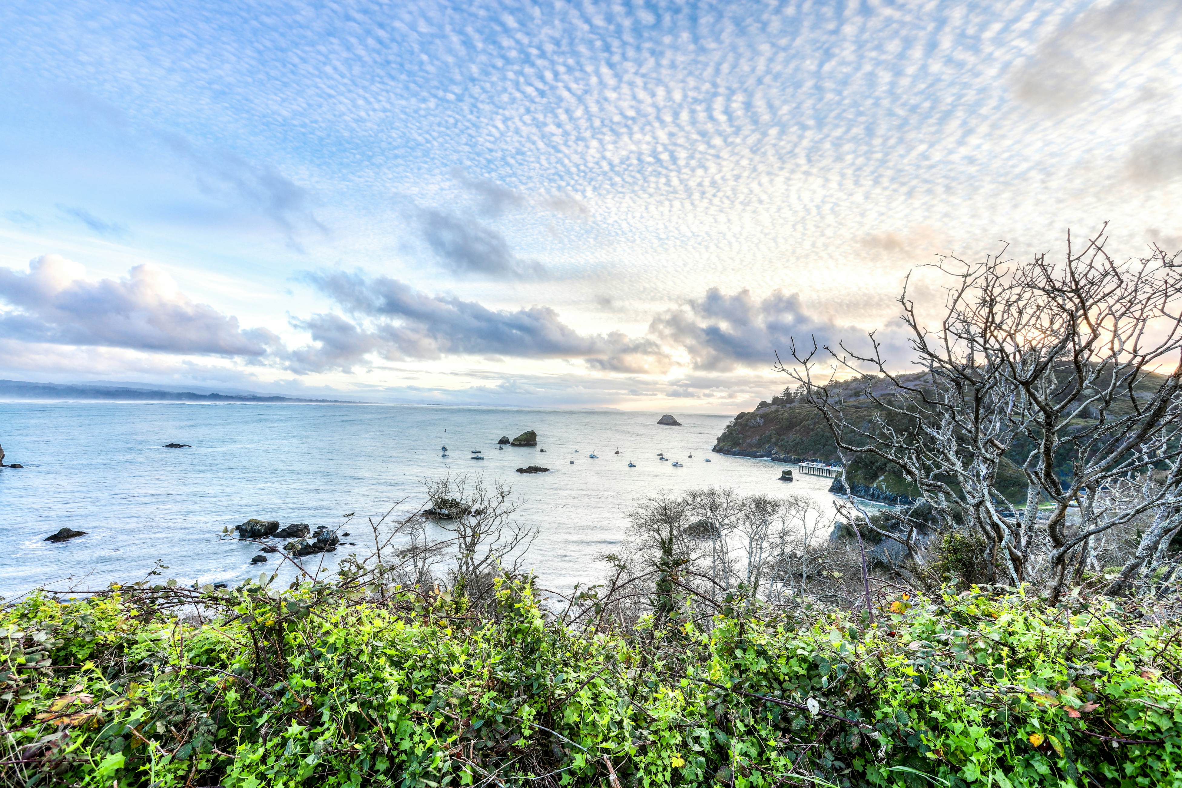 Whalerock Luxury Home