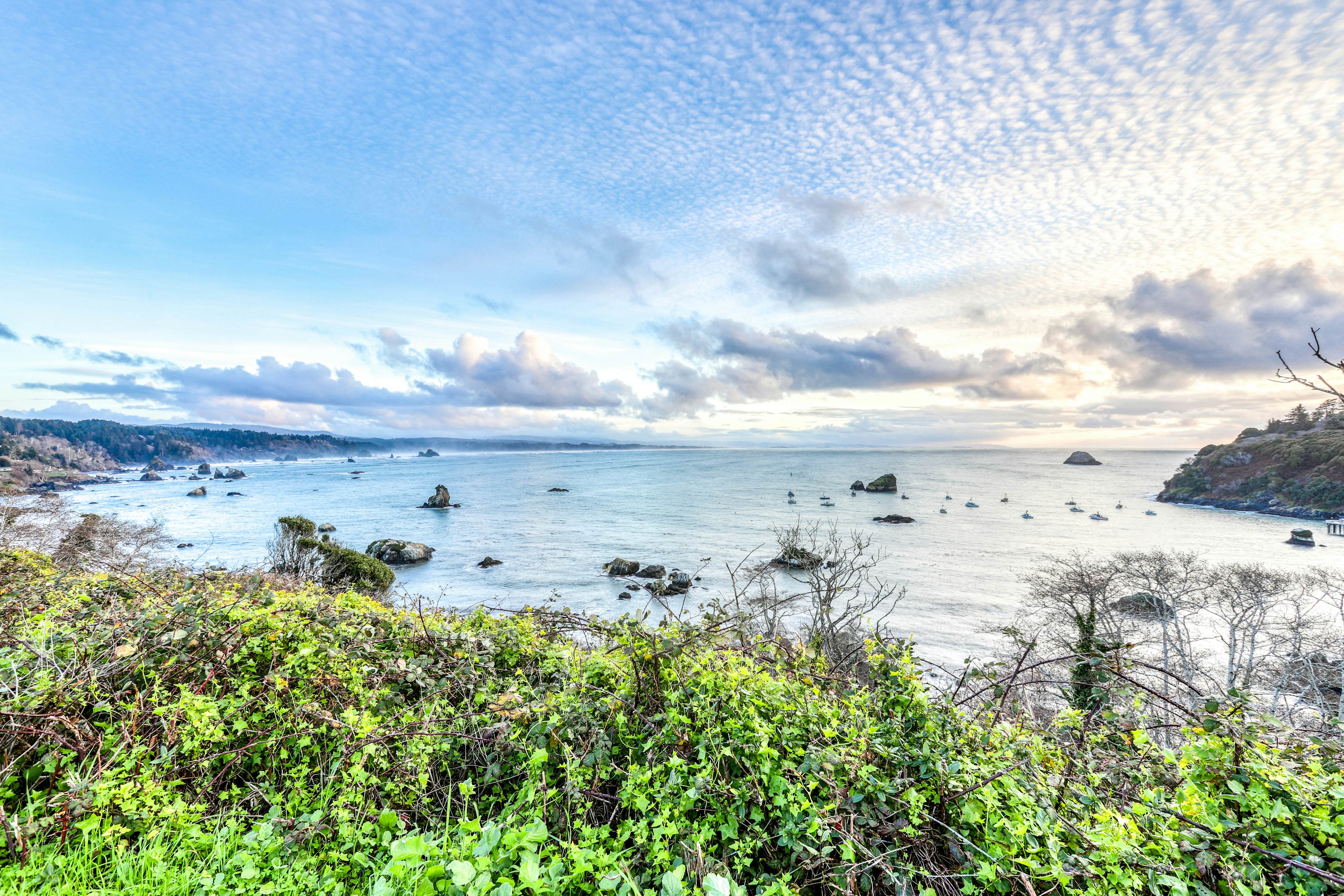 Whalerock Luxury Home