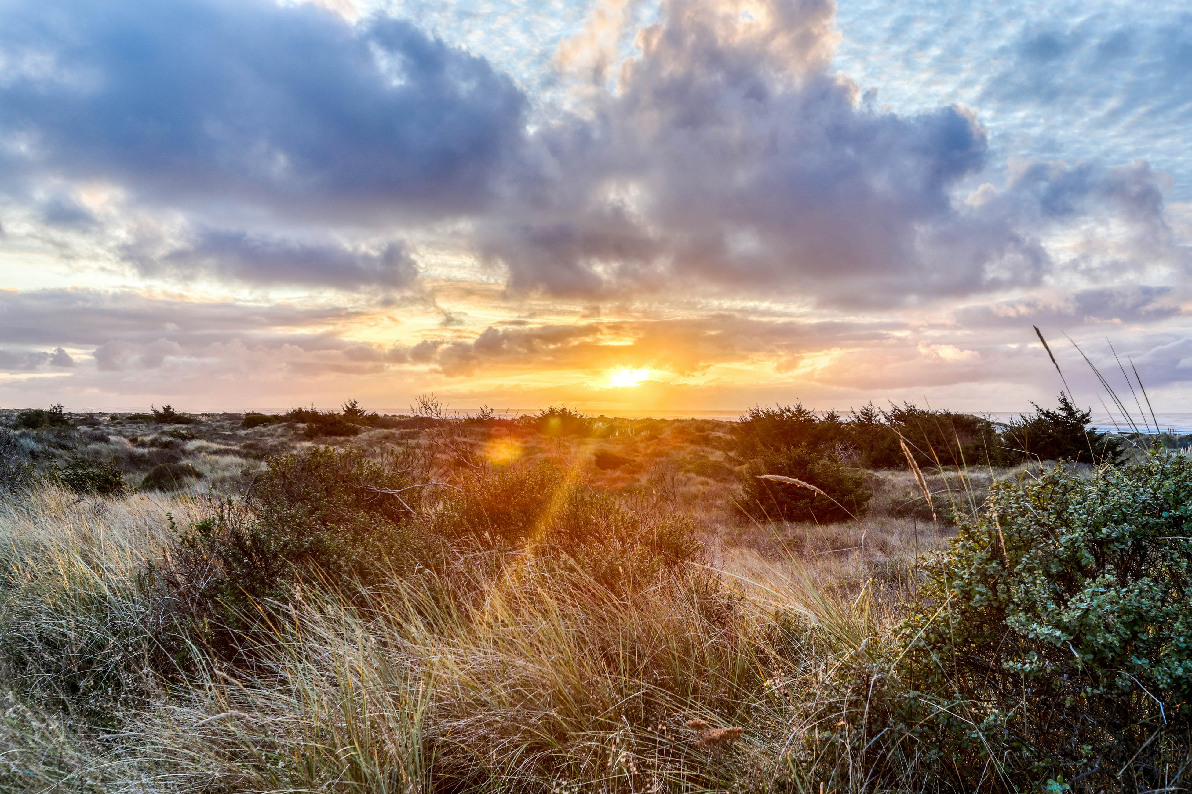 Whalerock Luxury Home