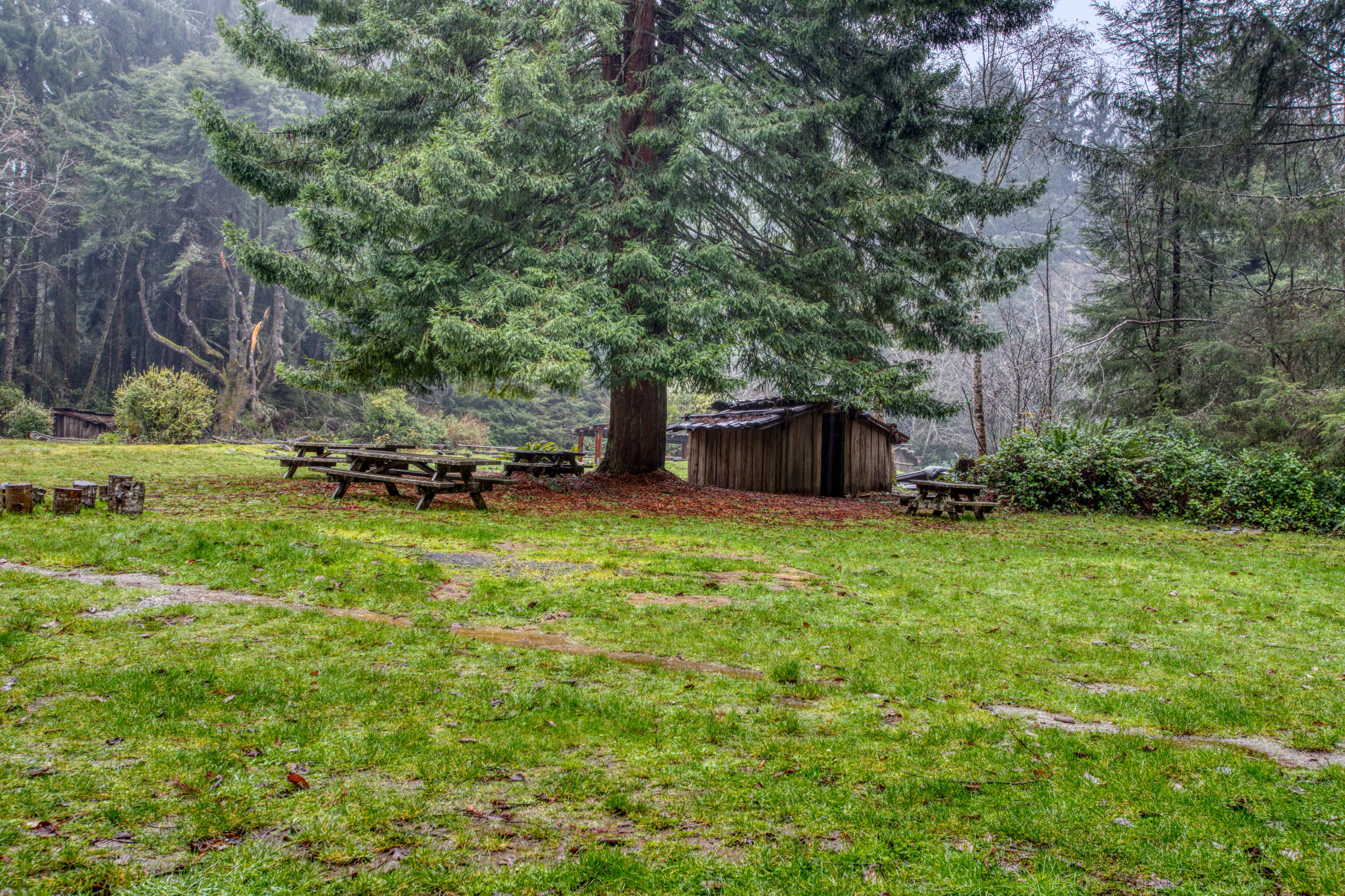 Whalerock Luxury Home