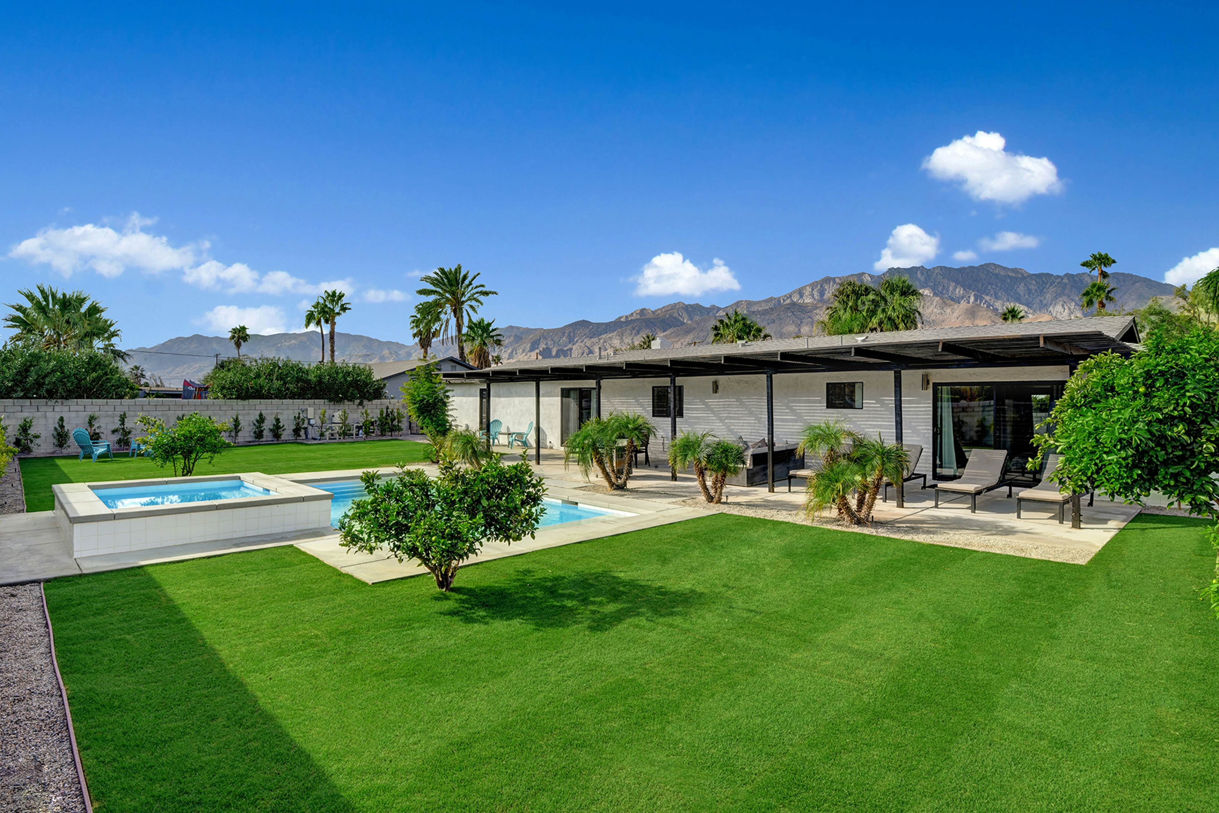 Peaceful Palms - 4341