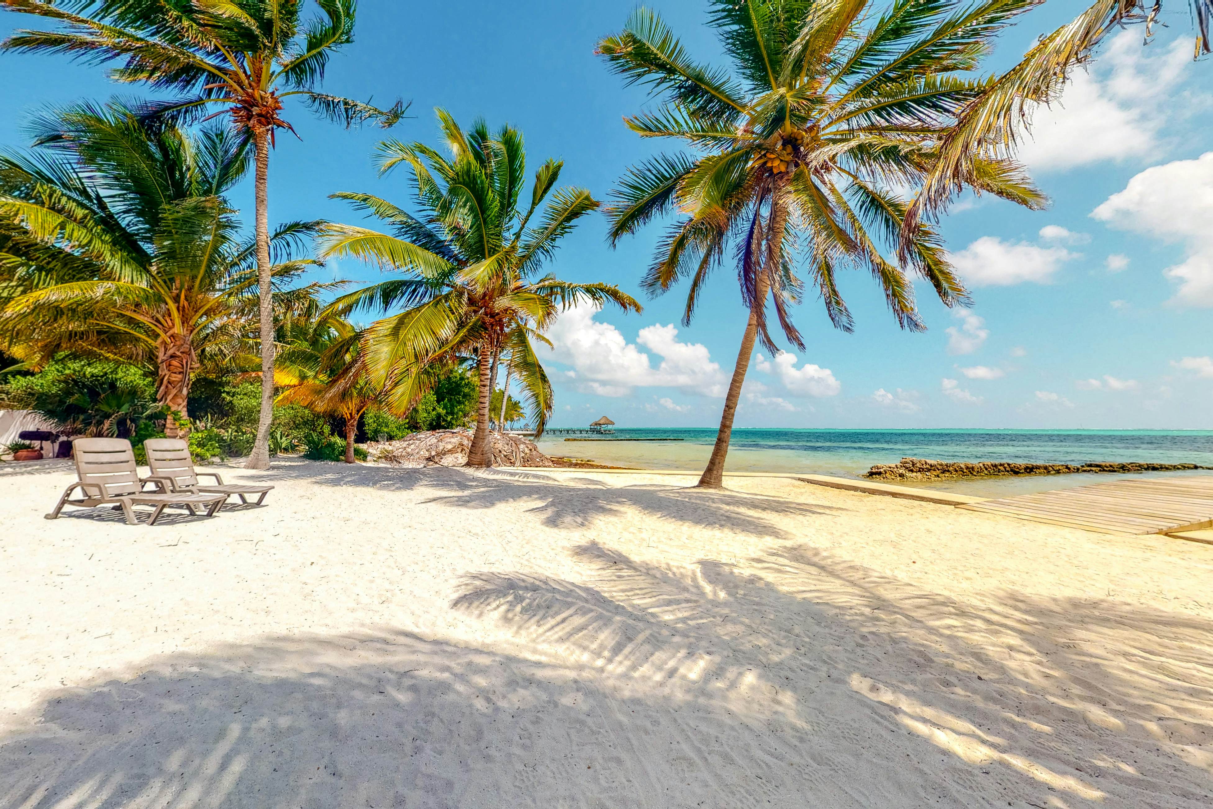 Red Ginger #13 at Caribe Island  -Gold Standard Certified